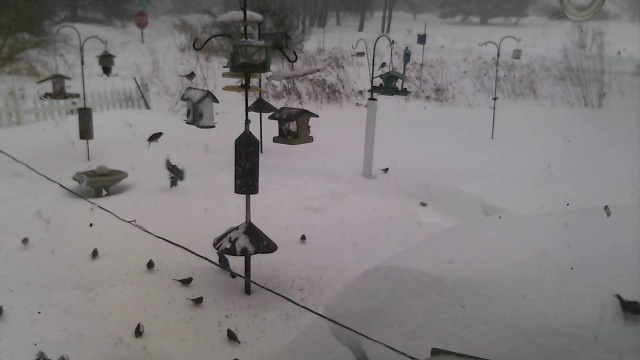 Additional Image 2