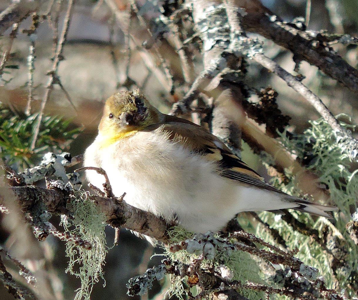 Featured Image