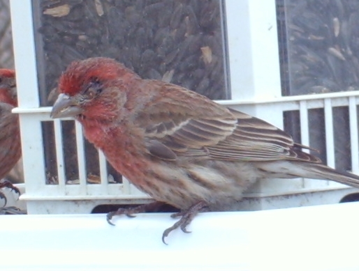 Additional Image 3