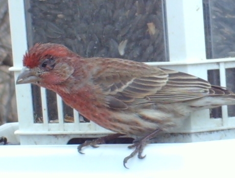 Additional Image 4