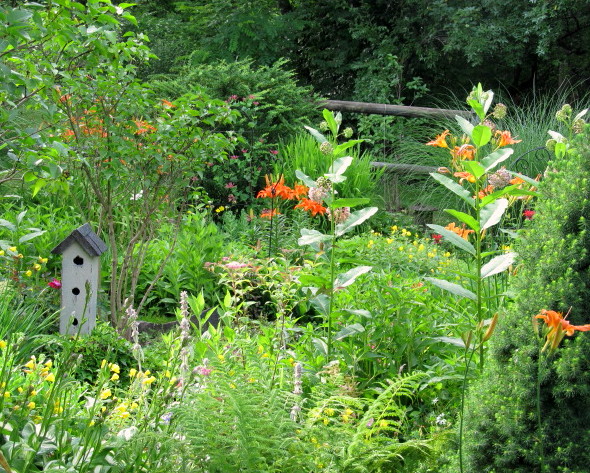 Additional Image 5