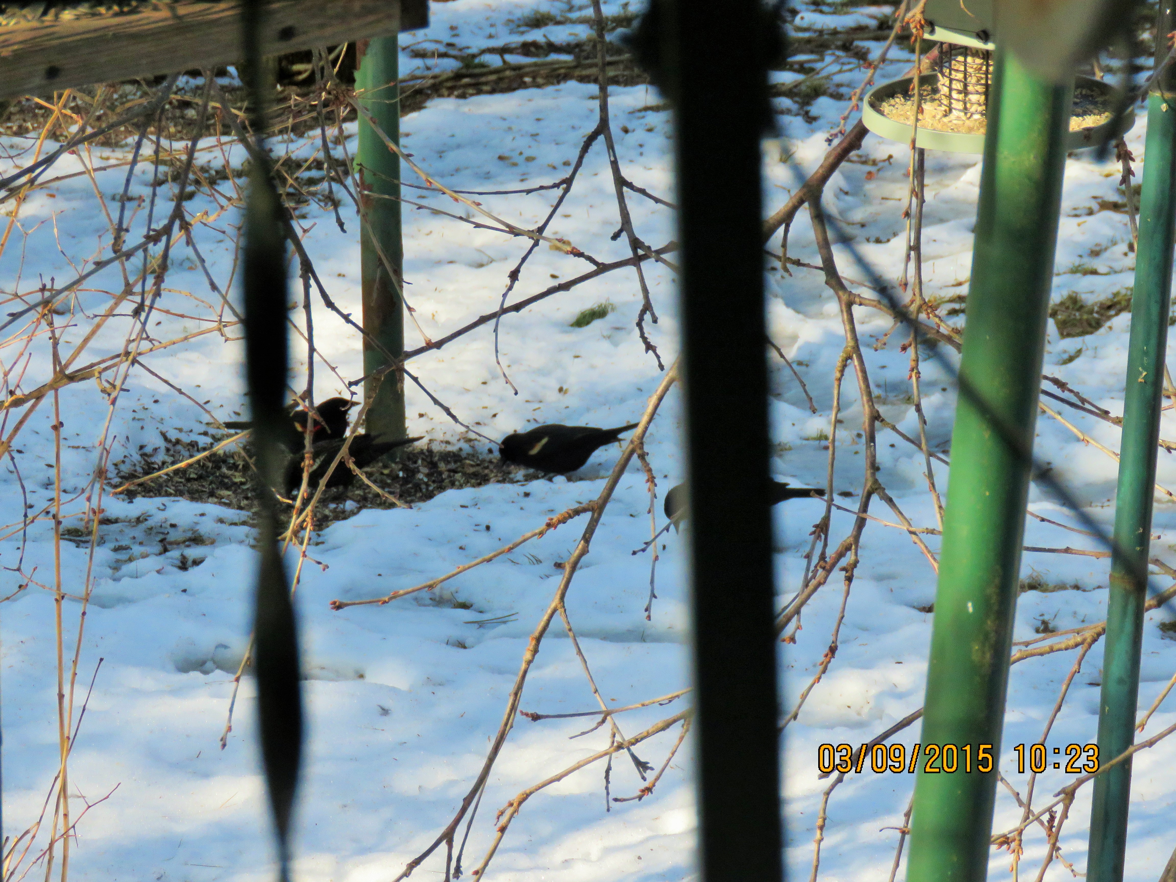 Additional Image 2