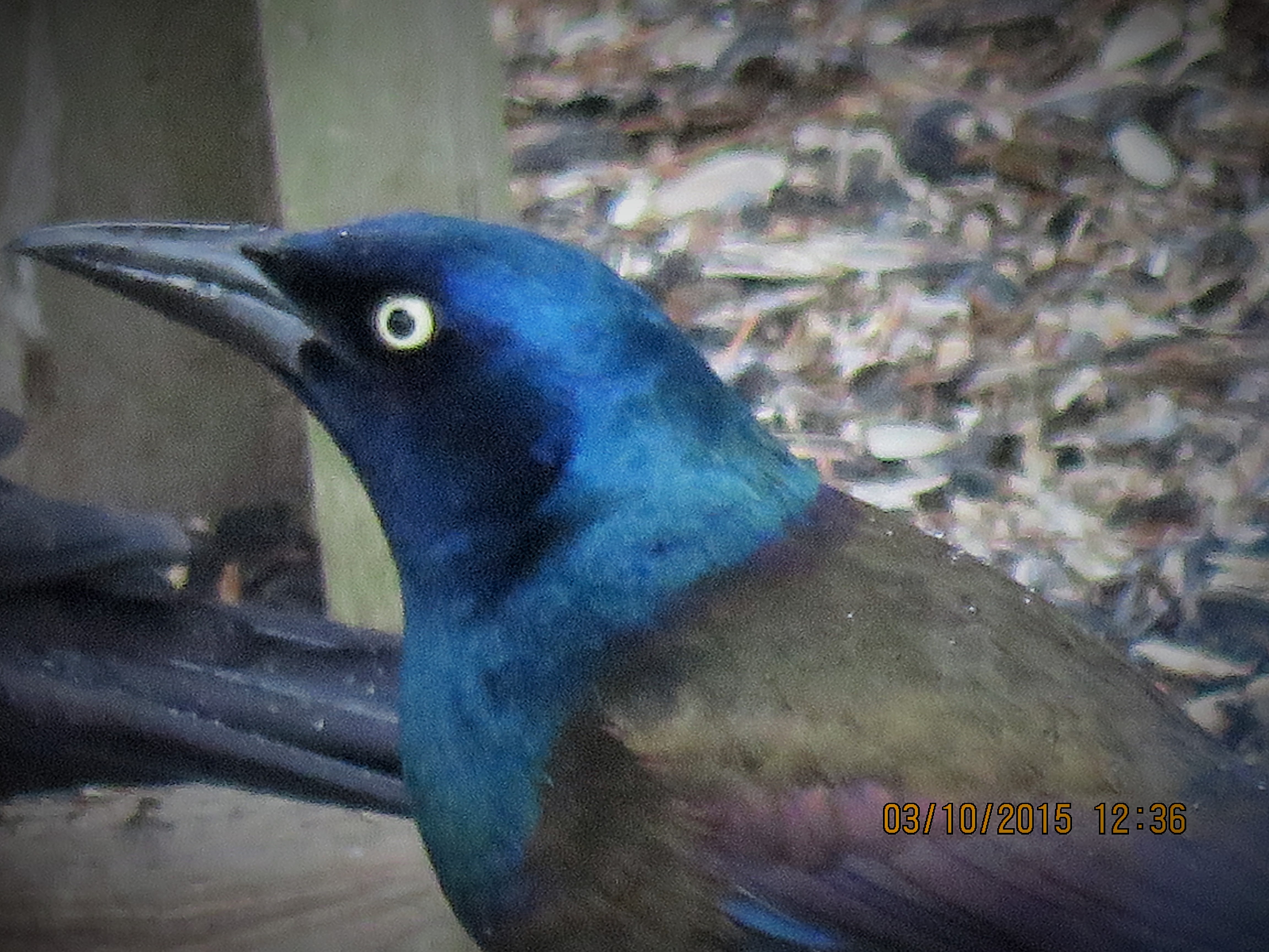 Featured Image