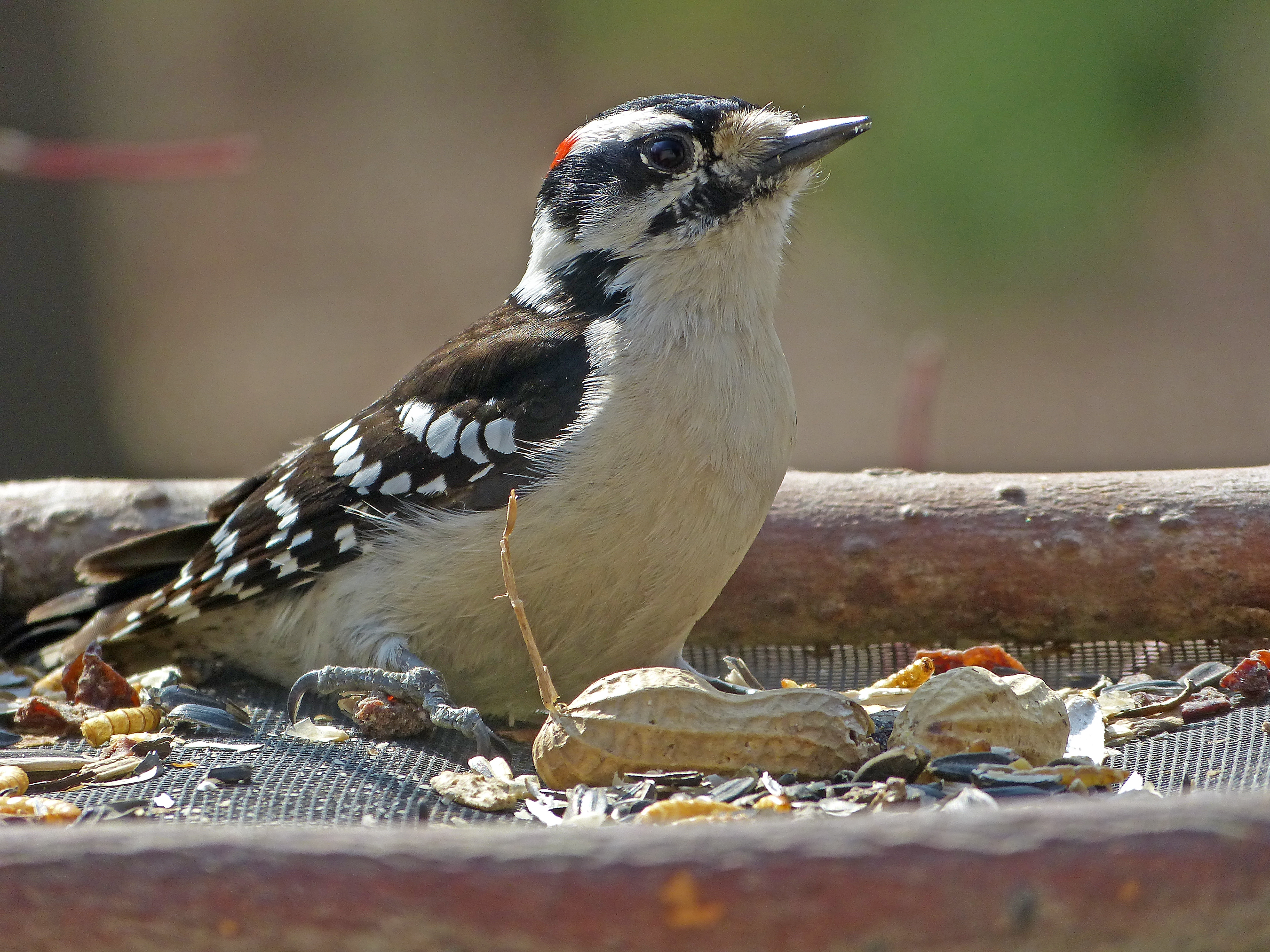 Featured Image