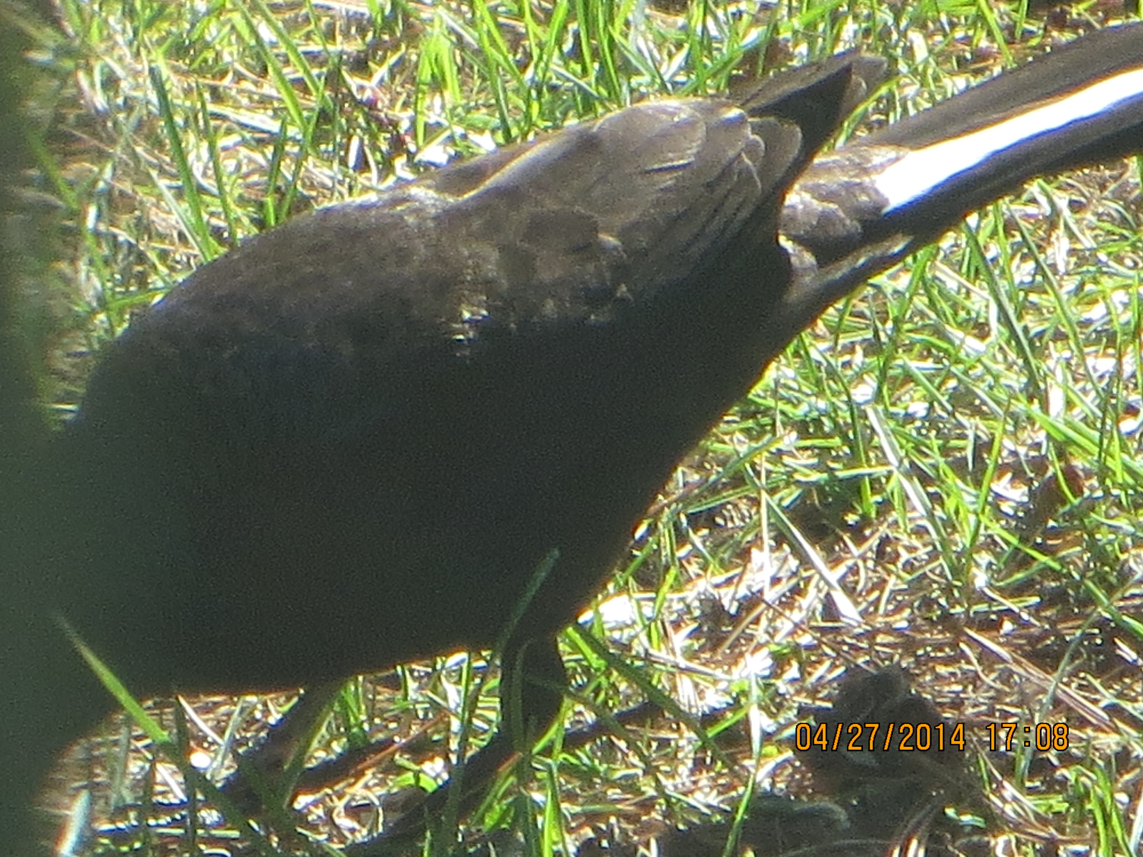 Additional Image 2