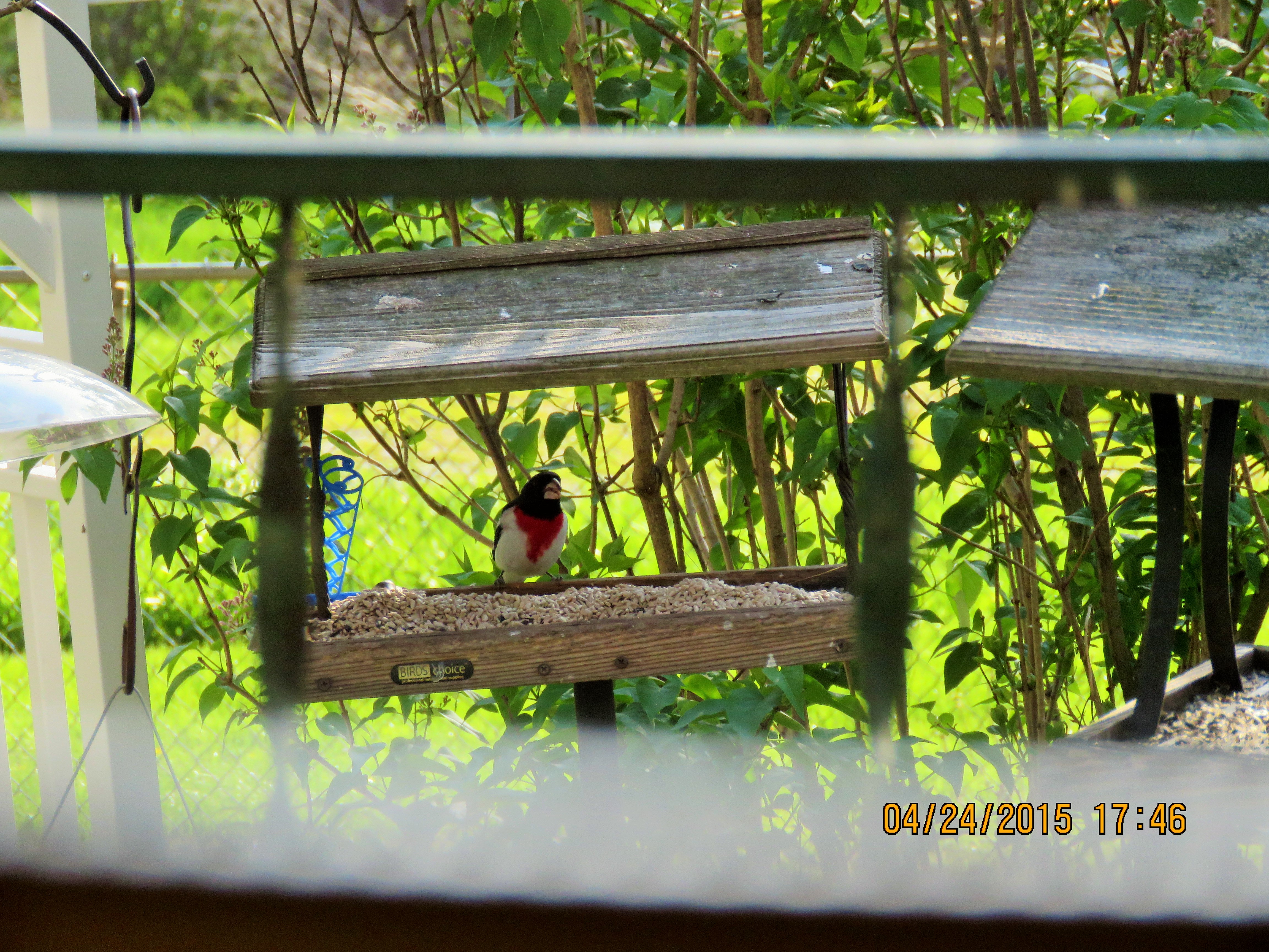 Additional Image 2