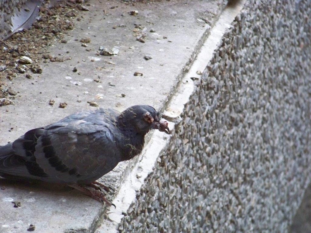 Additional Image 2