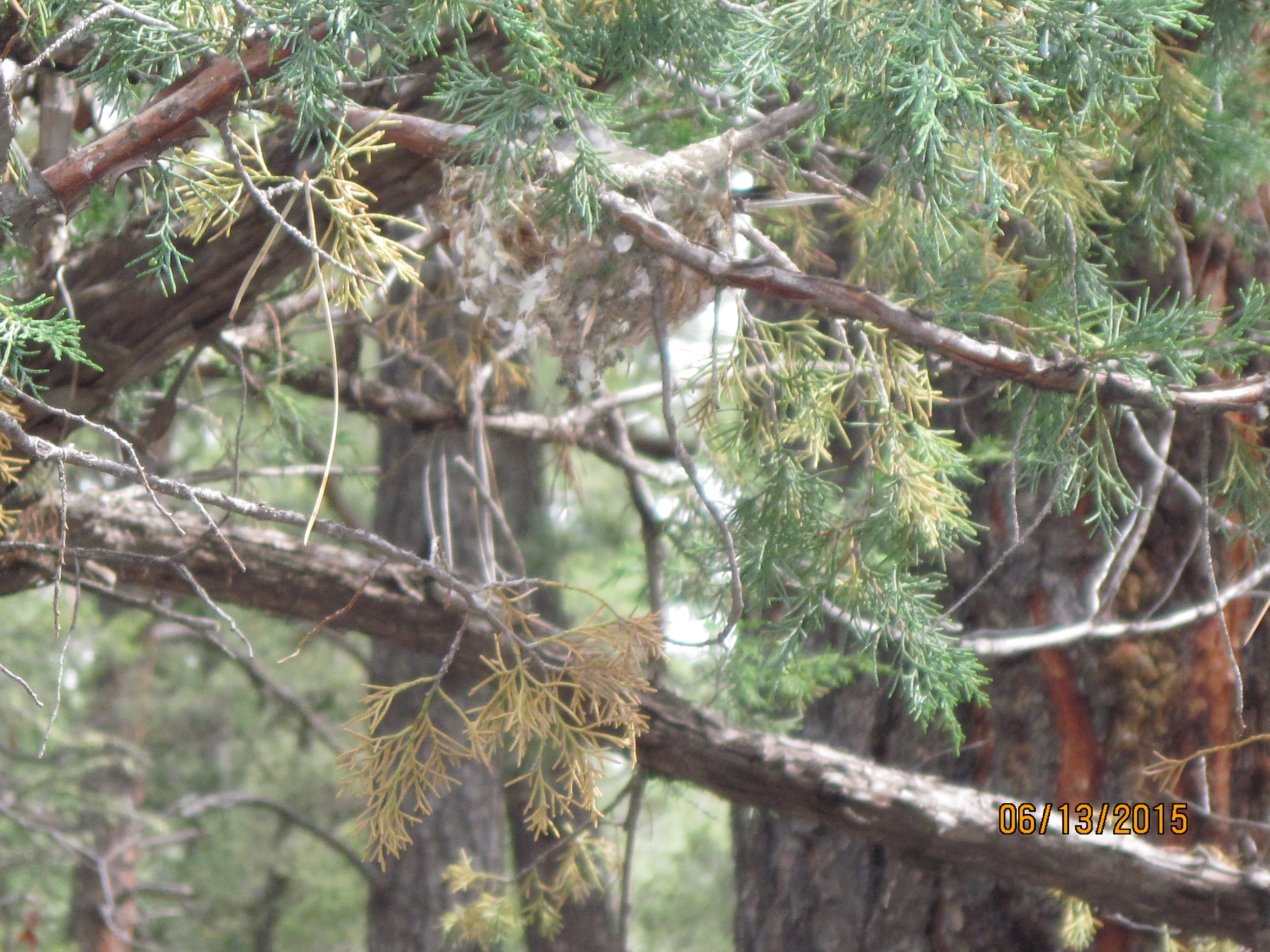 Additional Image 3