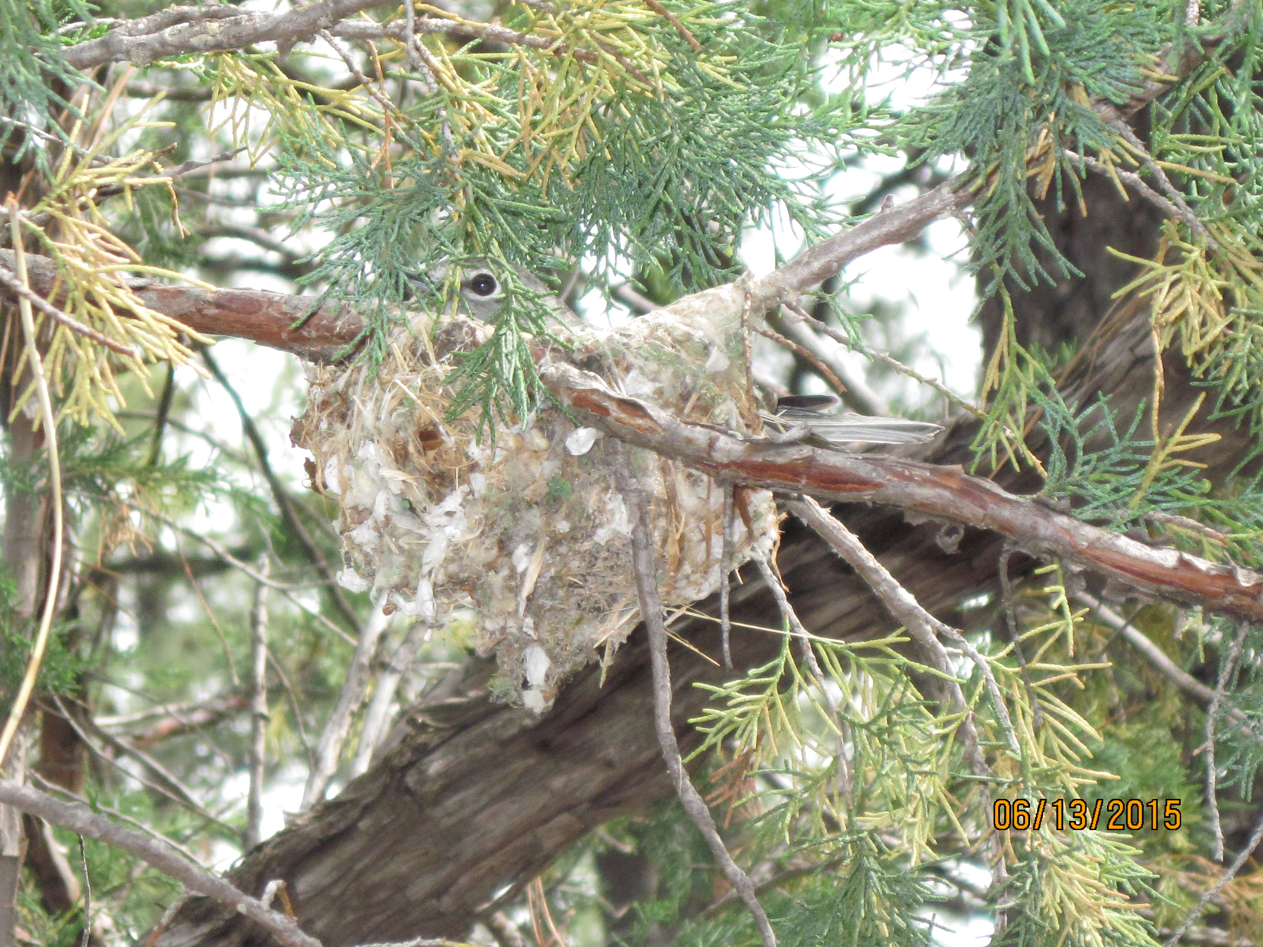 Additional Image 2