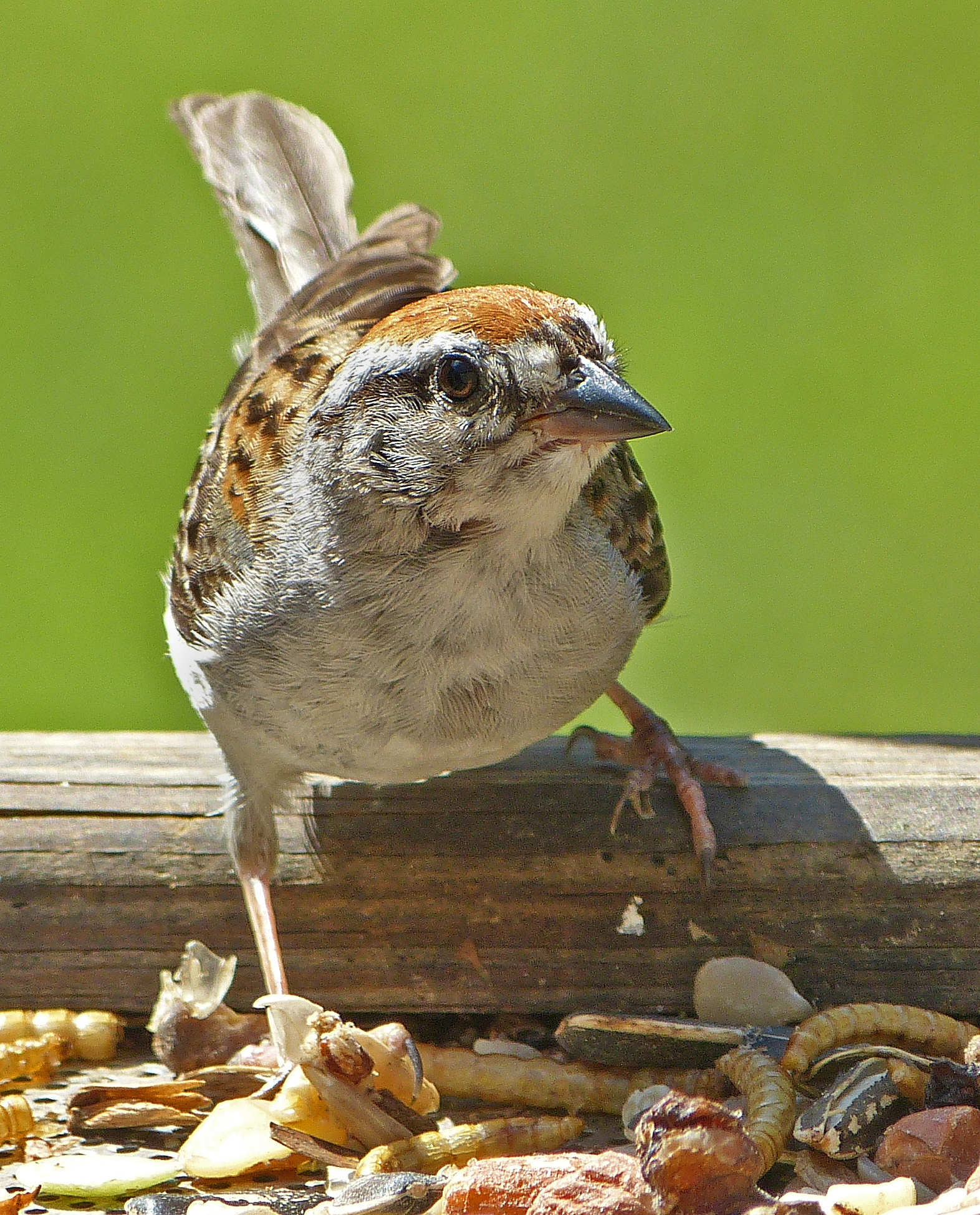 Featured Image