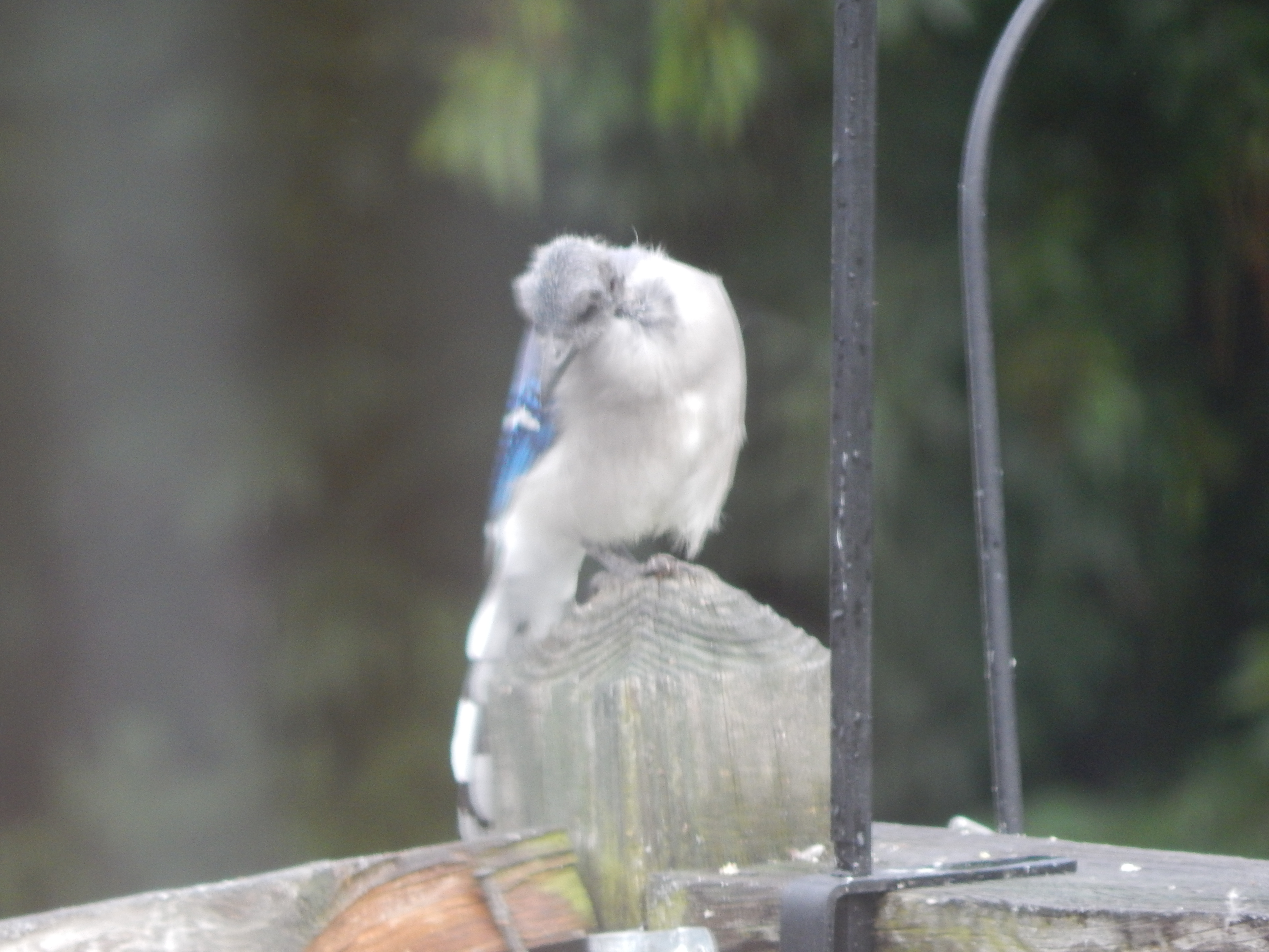 Additional Image 2