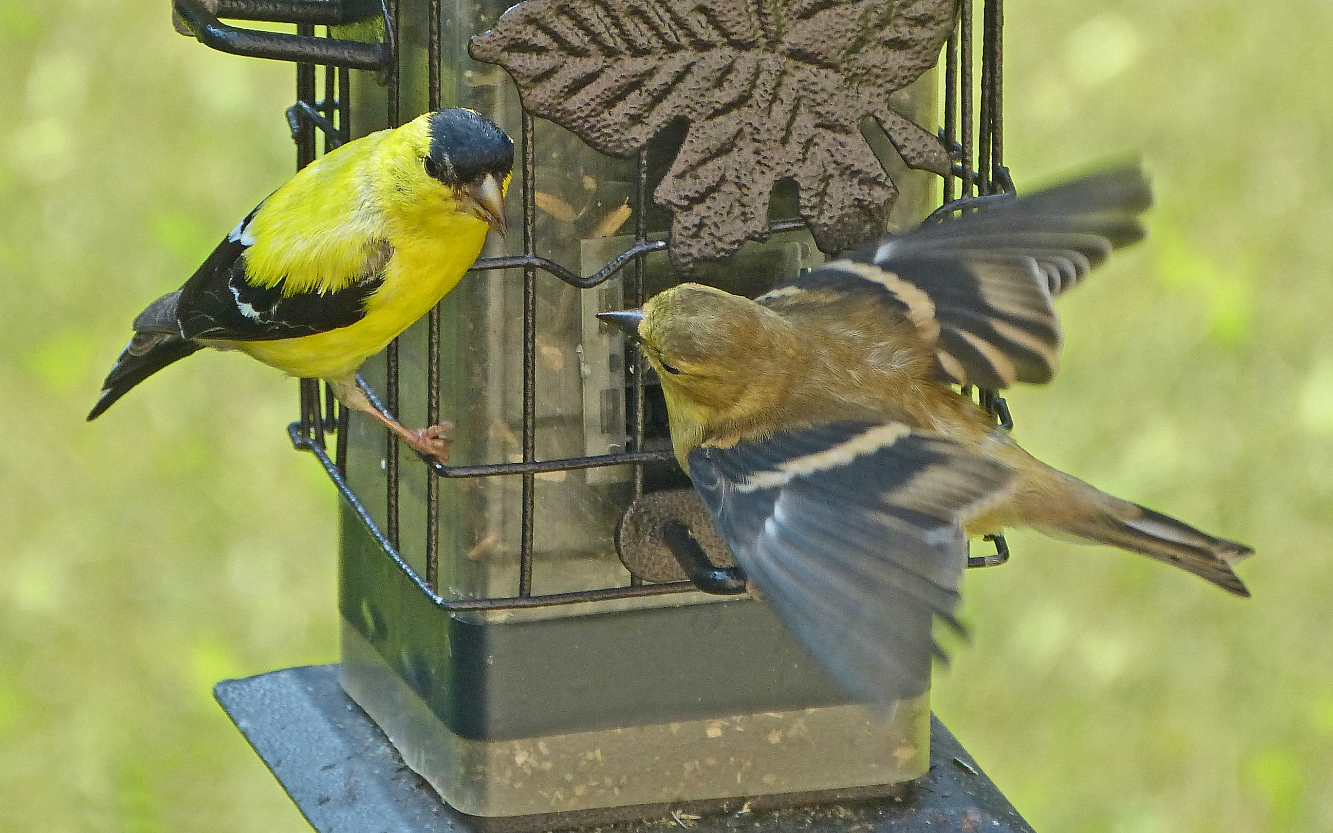 Featured Image