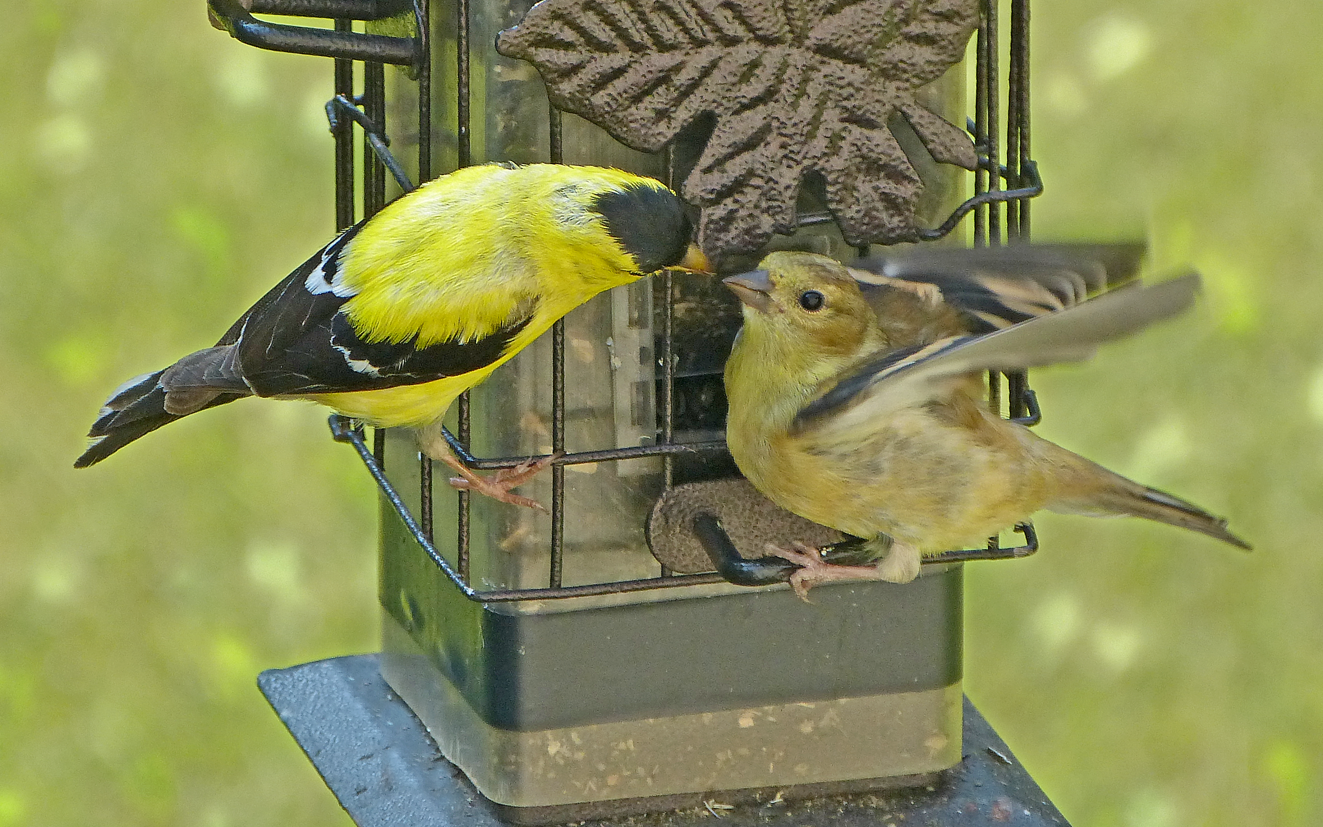 Additional Image 3