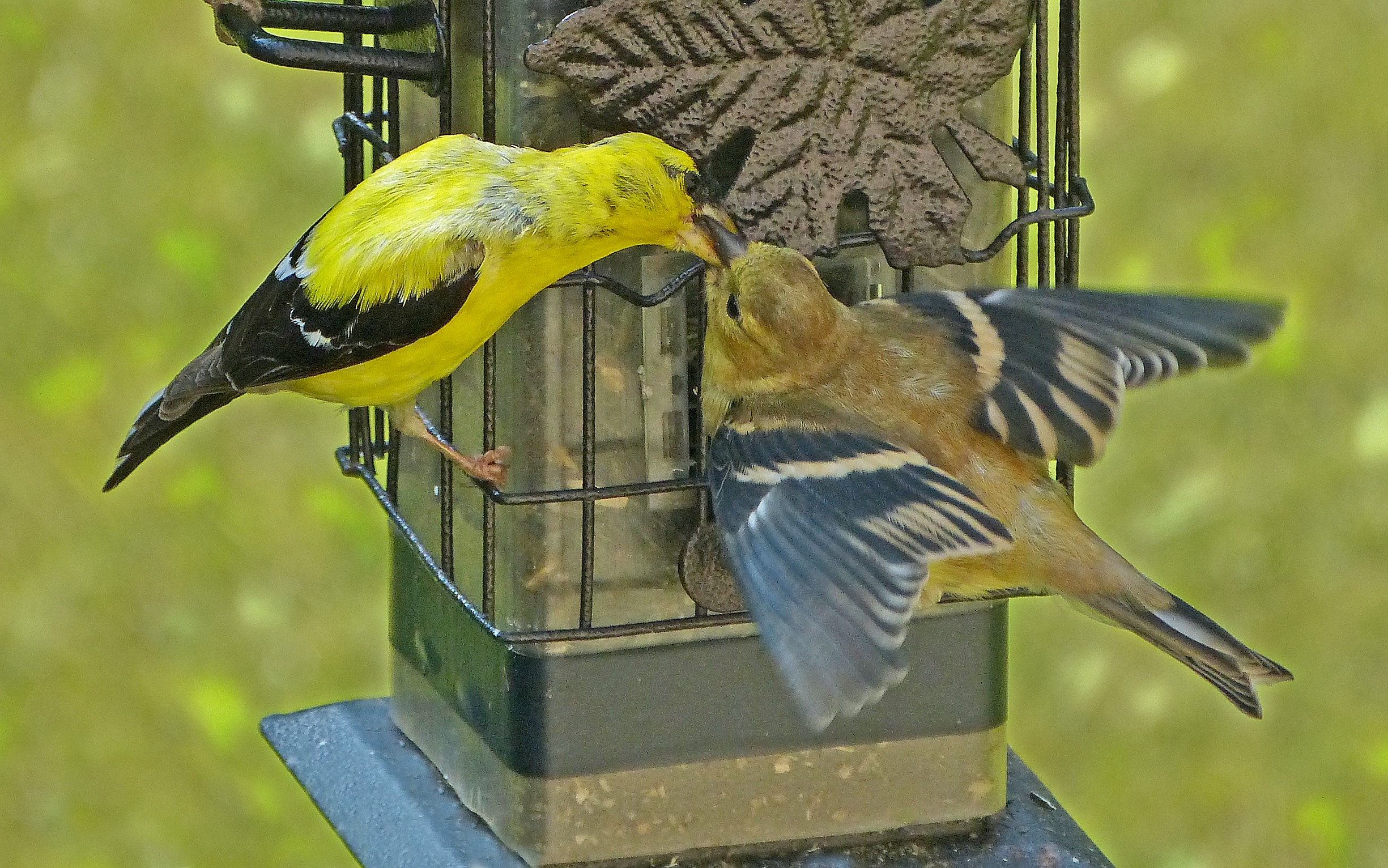 Additional Image 4
