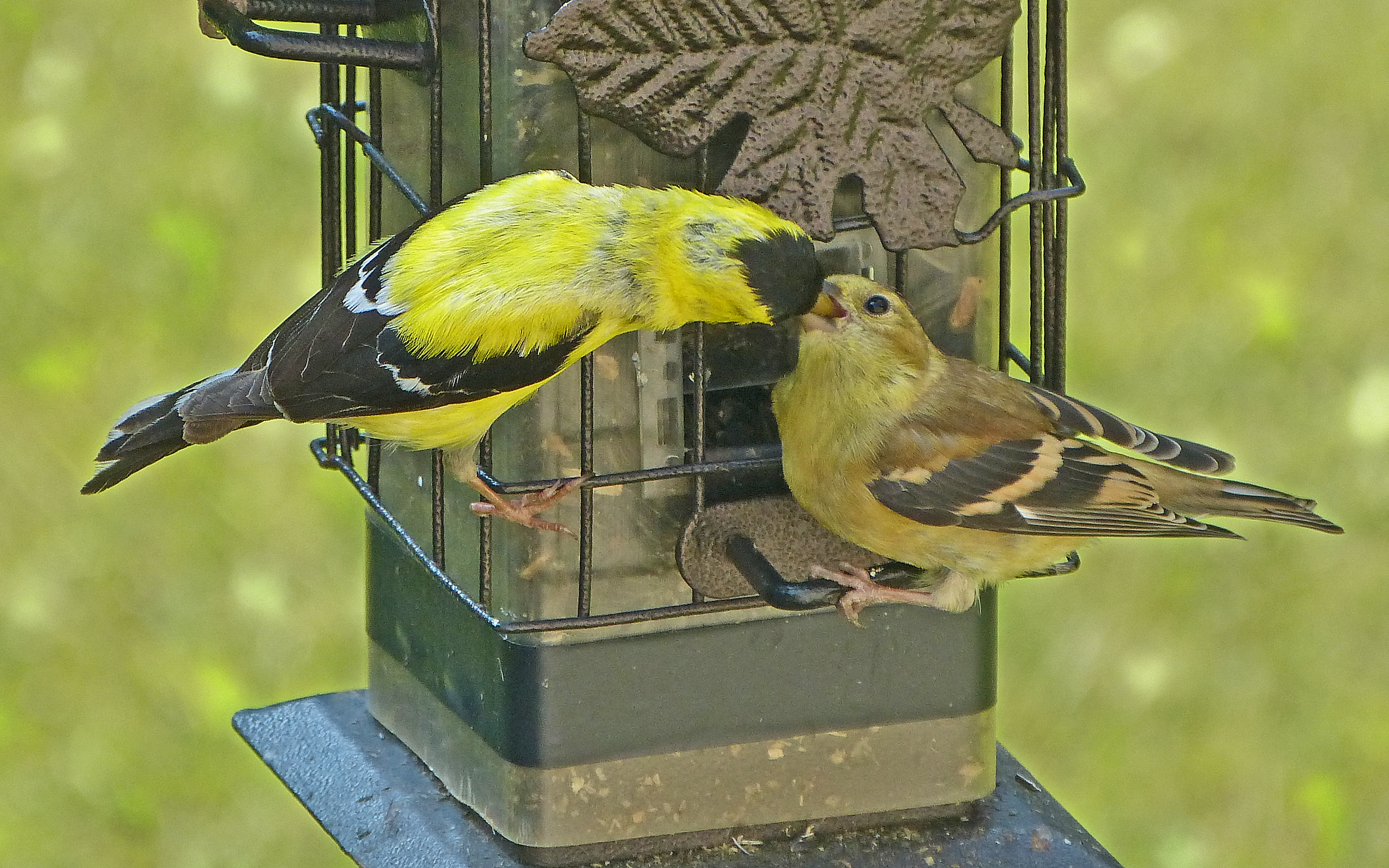 Additional Image 5