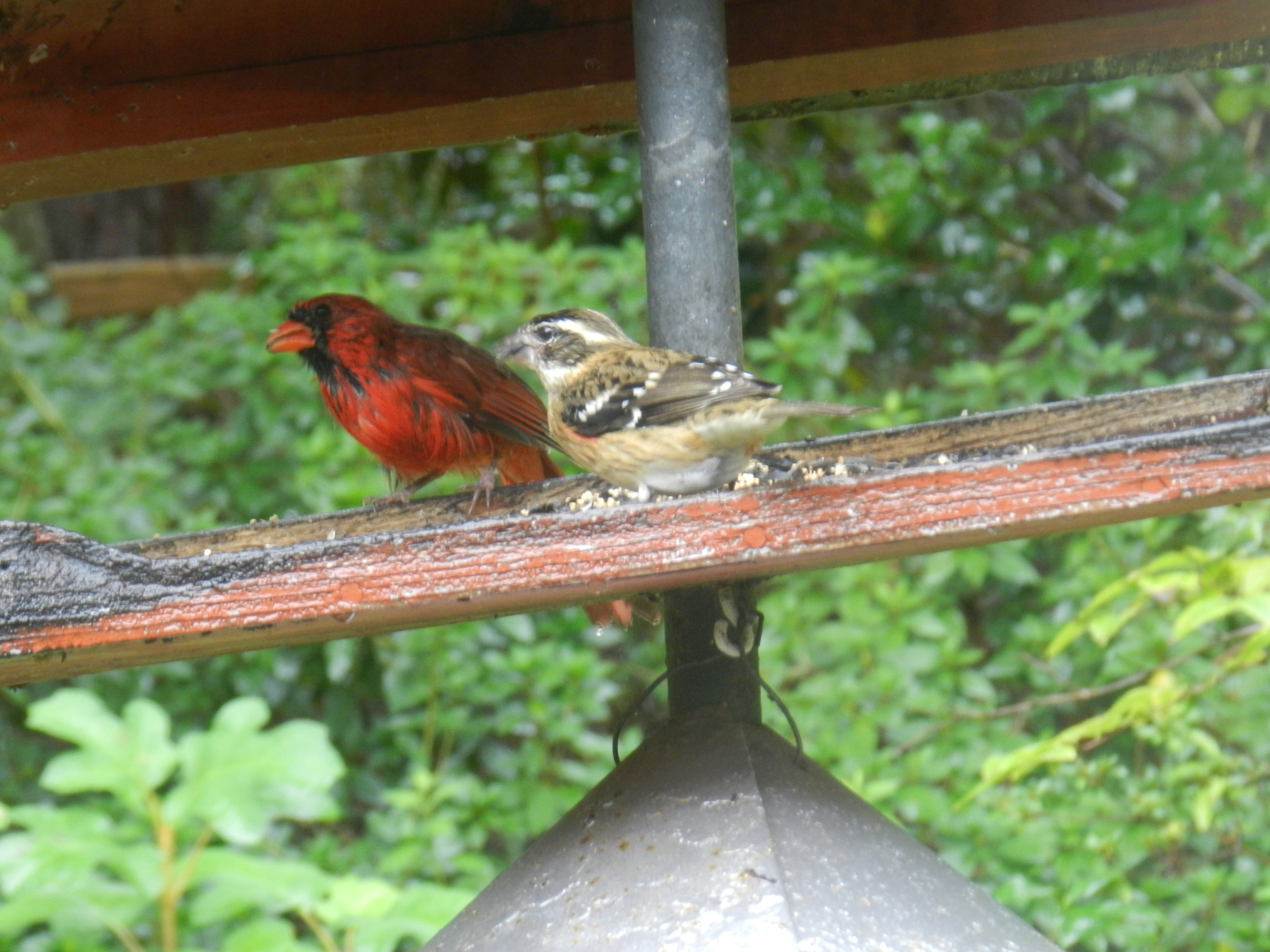 Additional Image 3