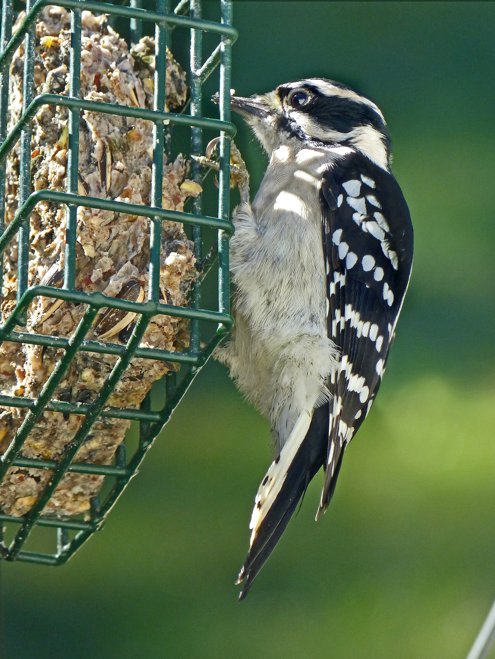 Additional Image 2