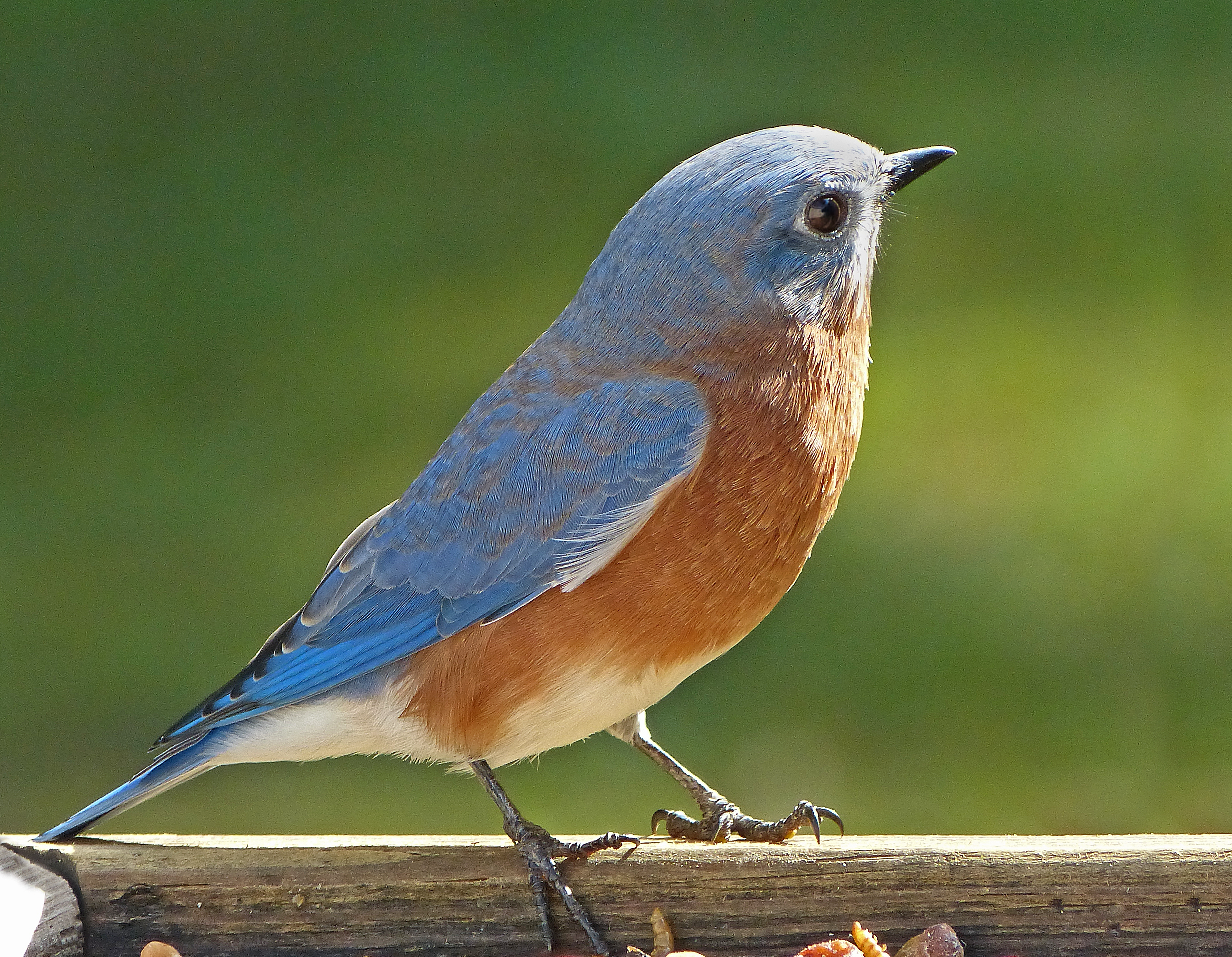 Featured Image