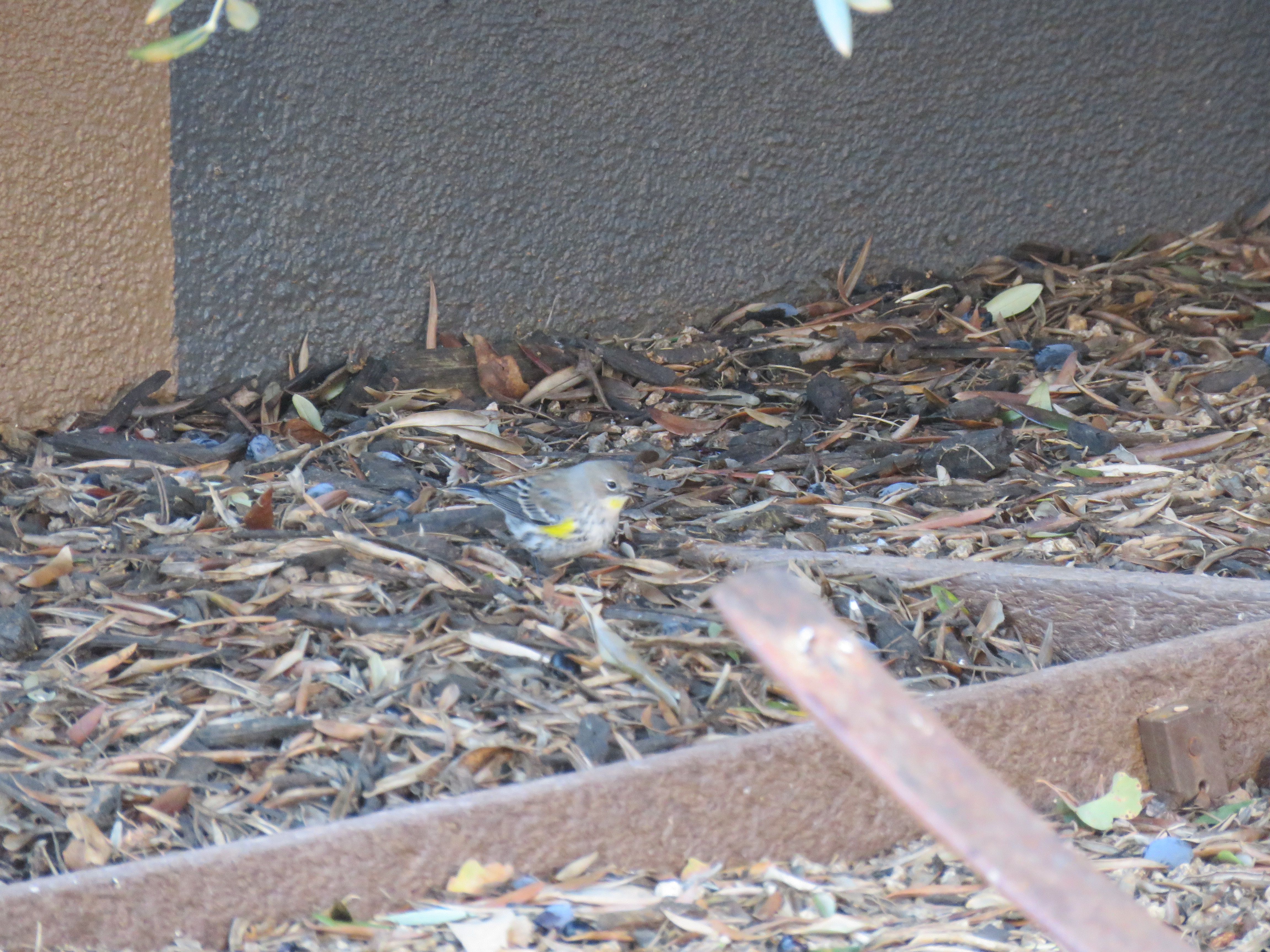 Additional Image 2