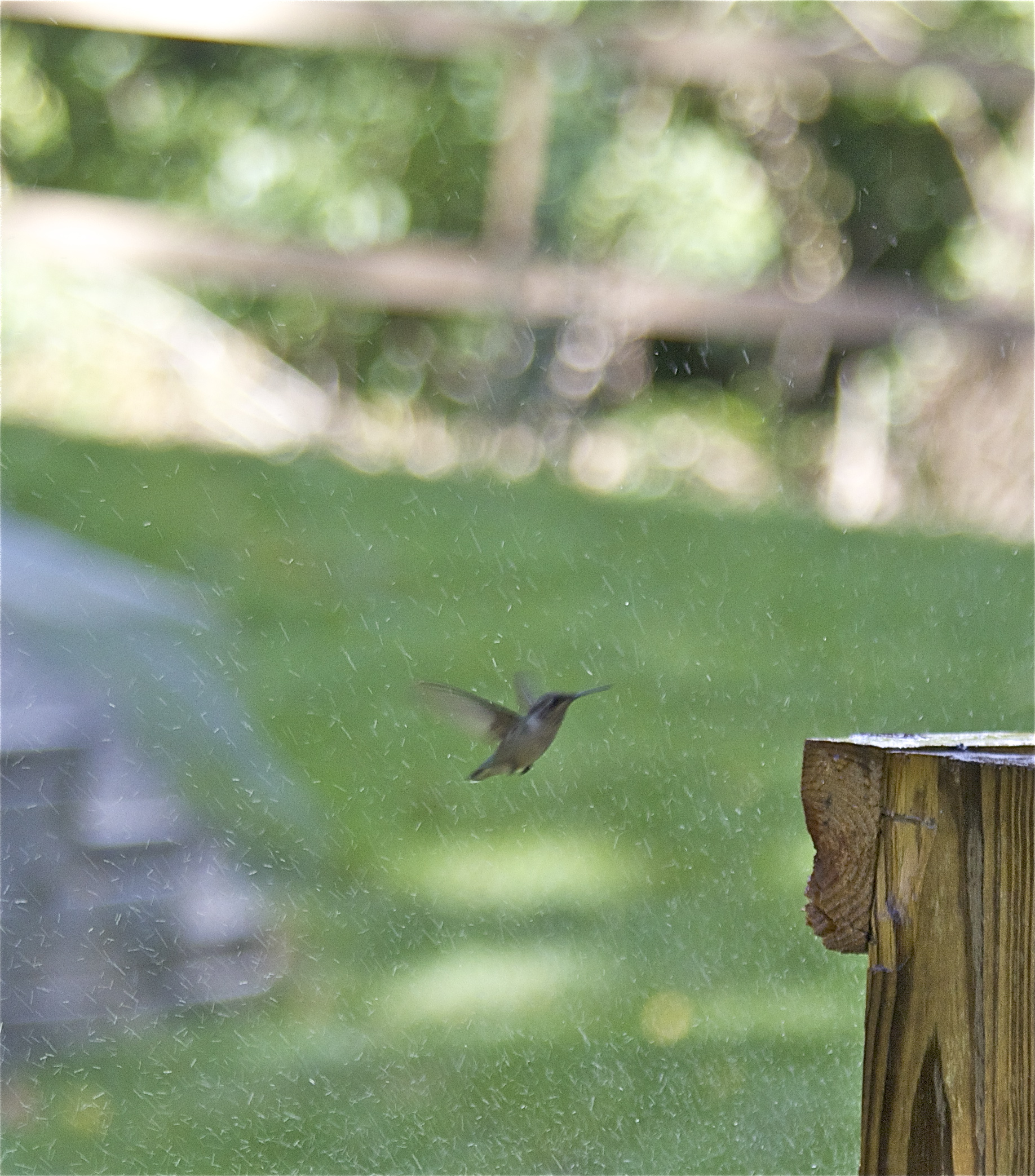 Additional Image 4