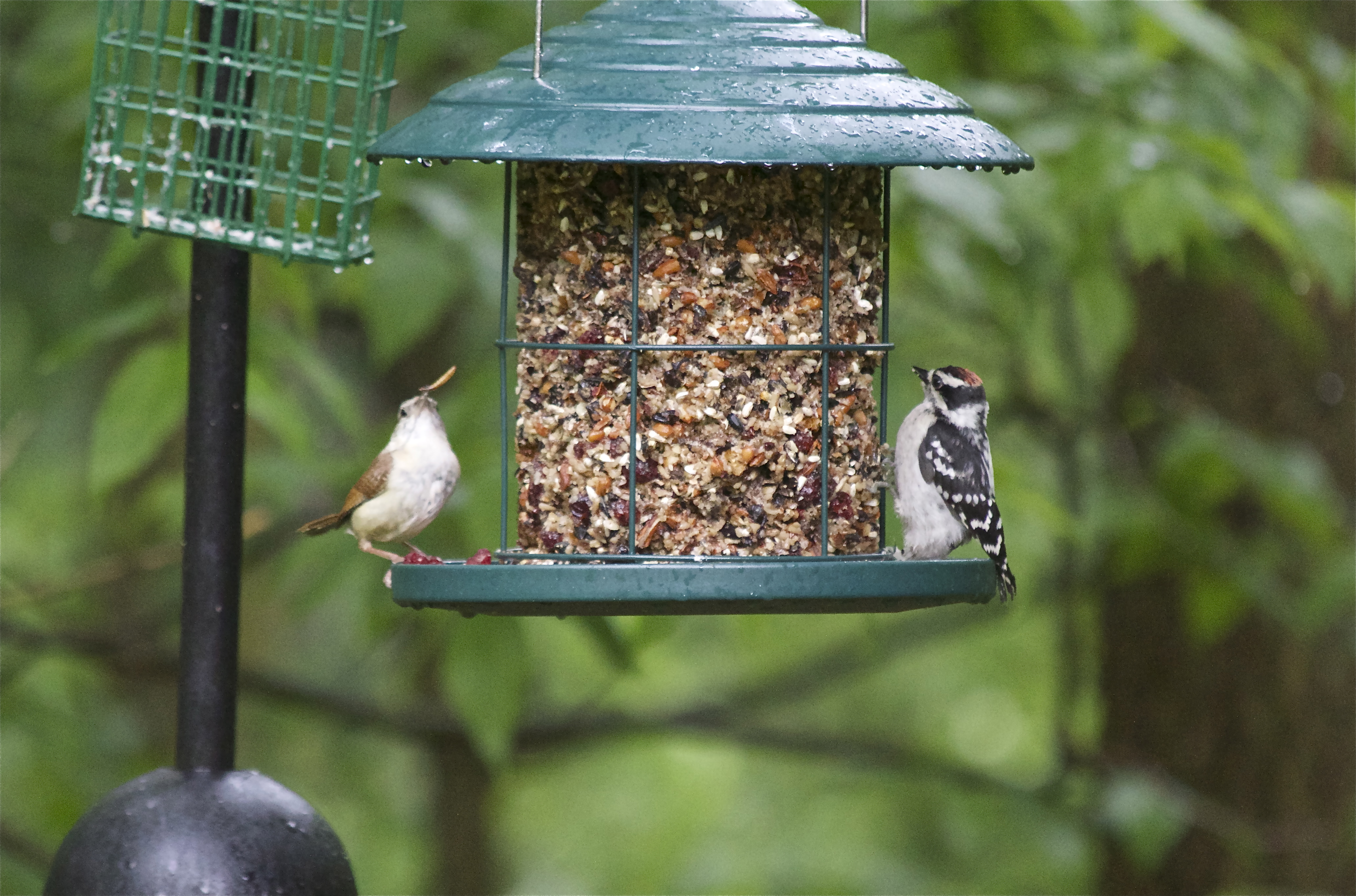Additional Image 4
