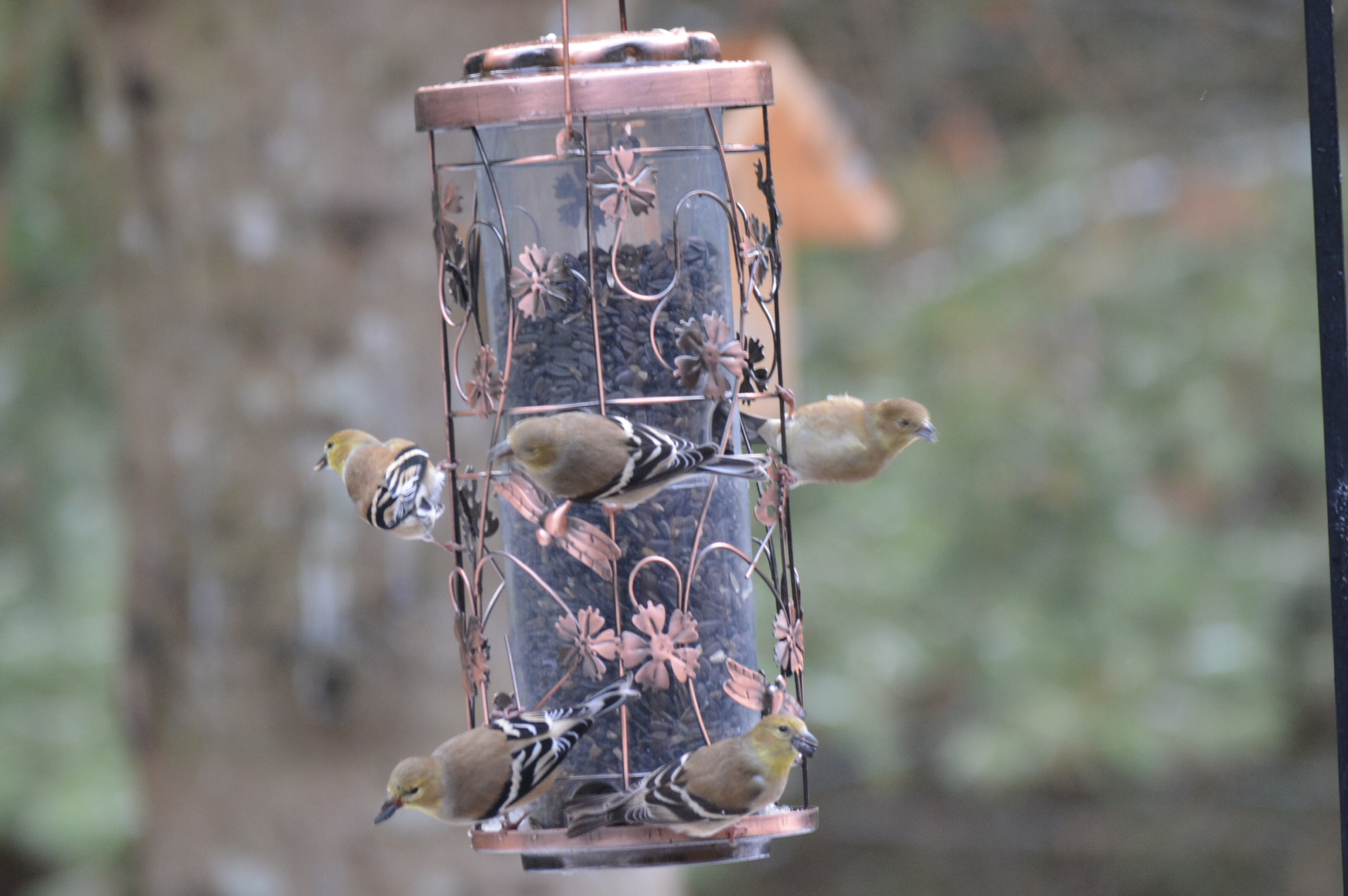 Additional Image 3