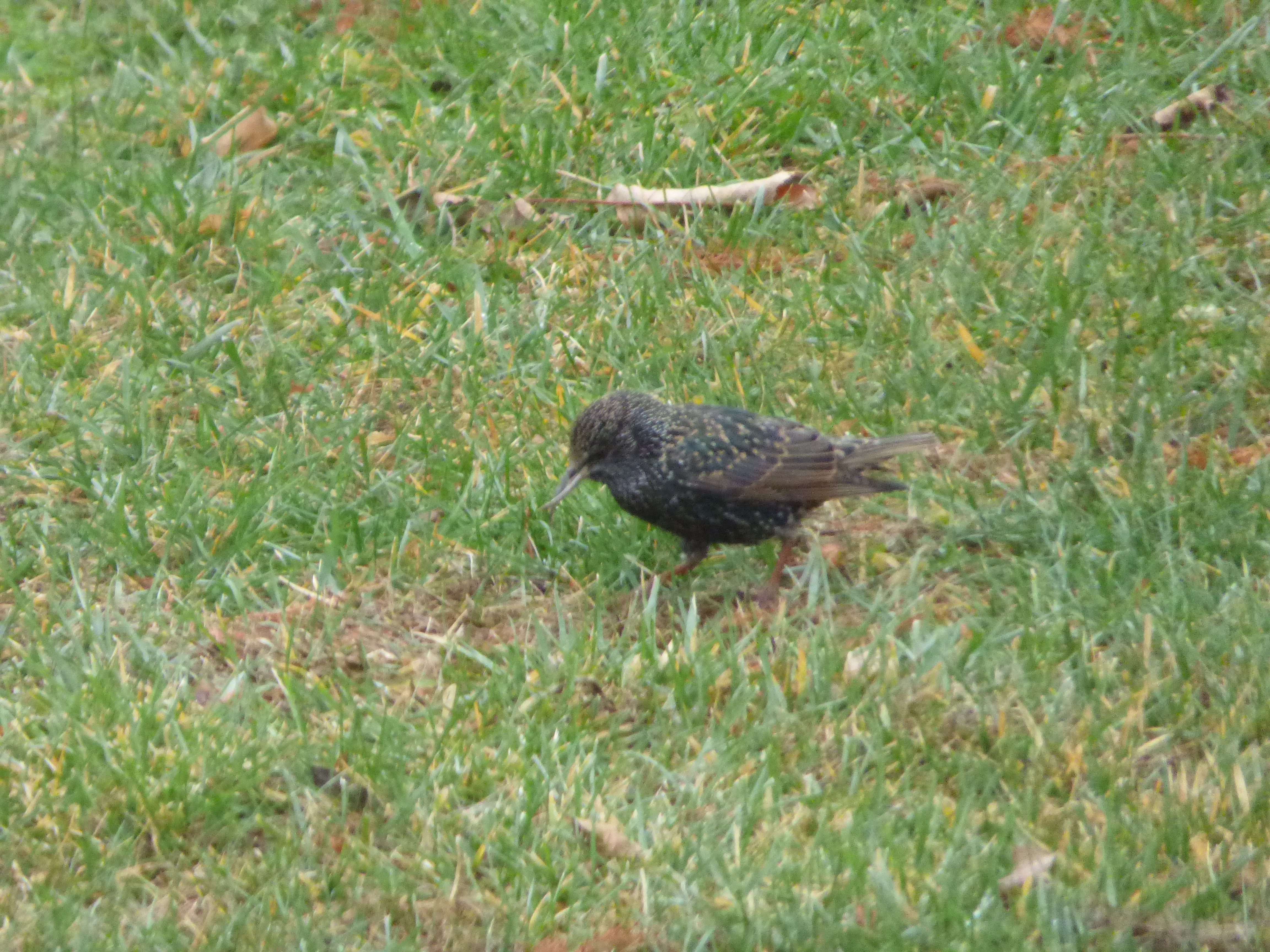 Additional Image 2