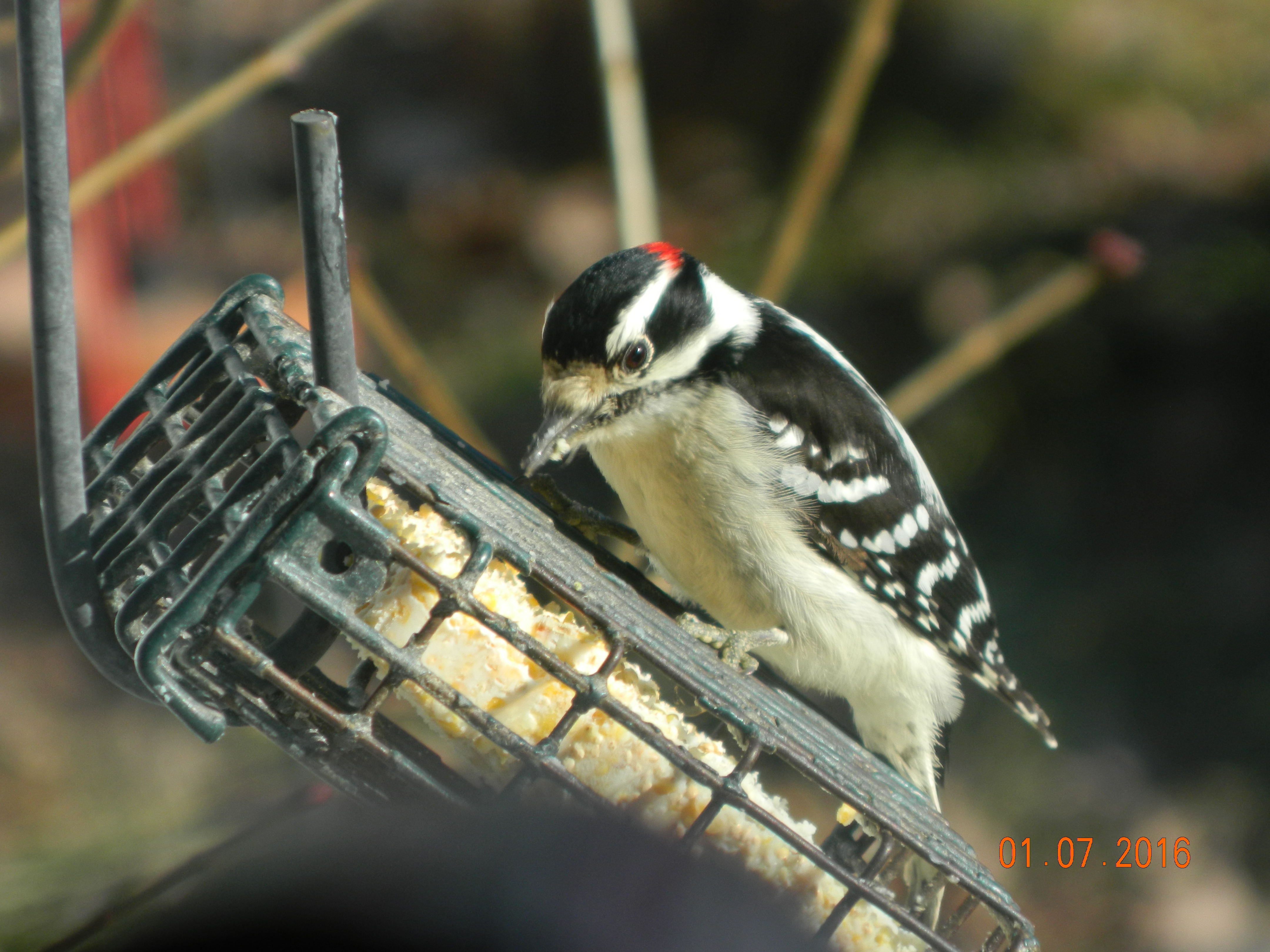Additional Image 2
