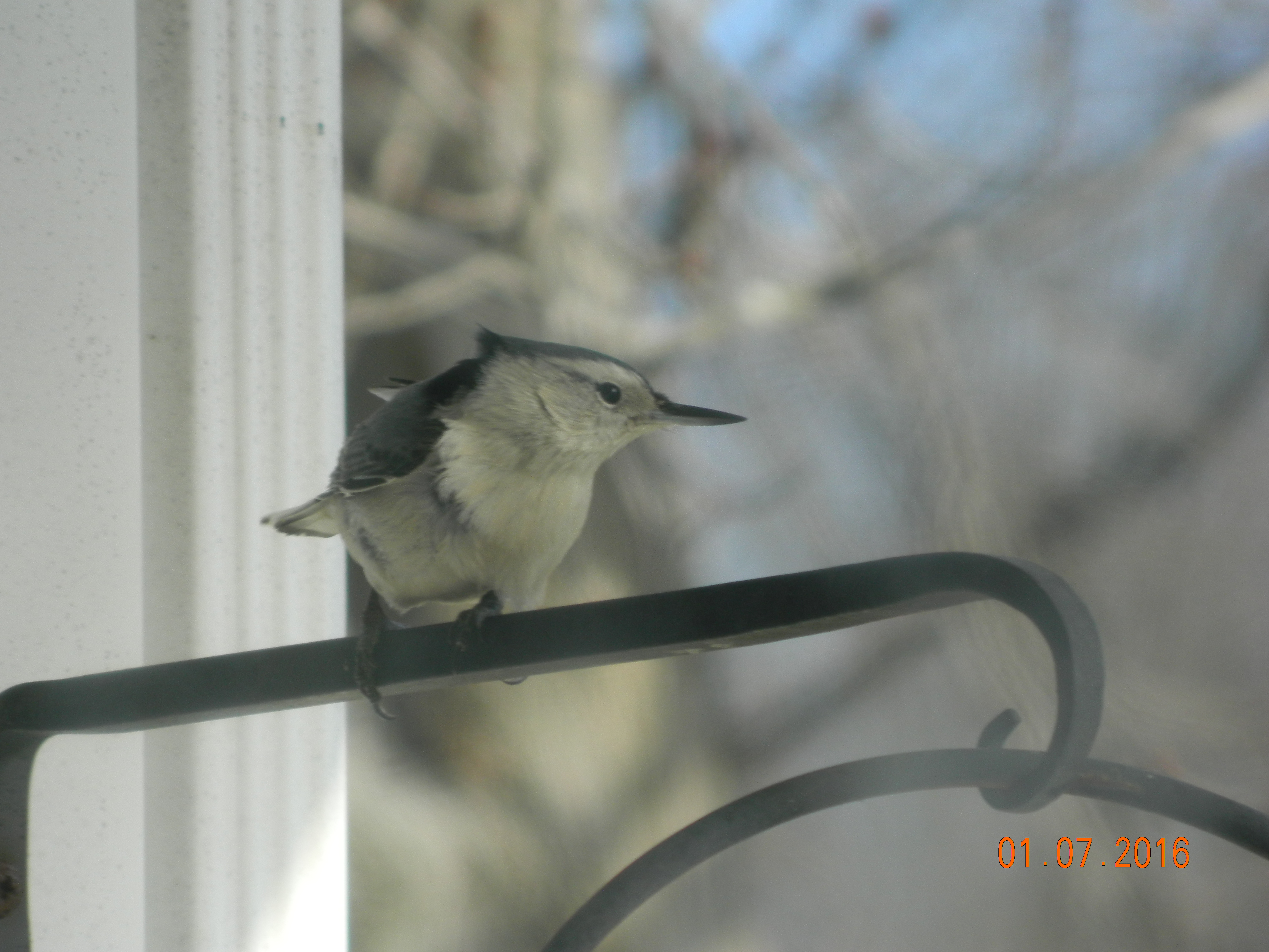 Additional Image 4