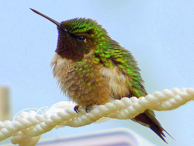 Featured Image
