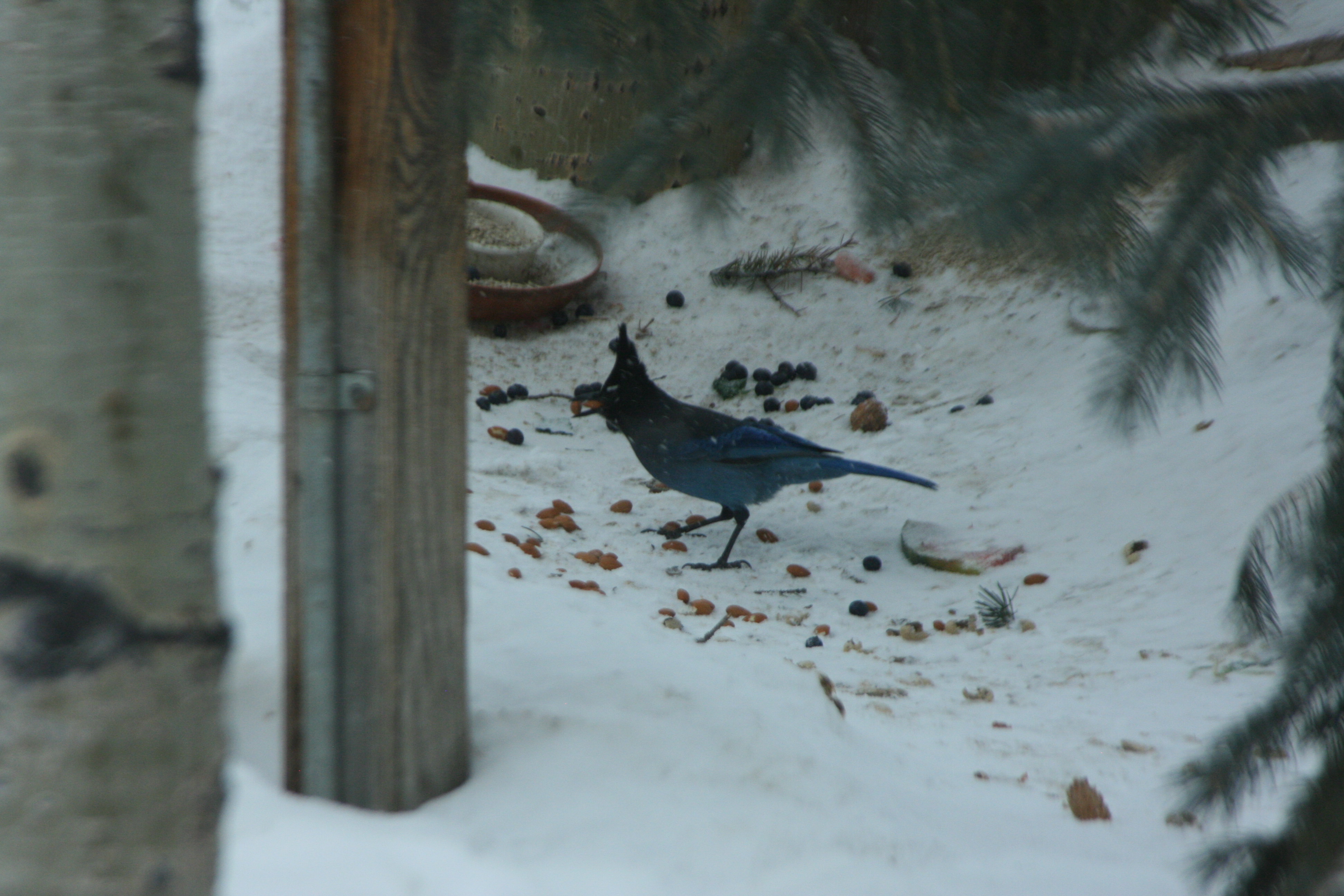 Additional Image 4