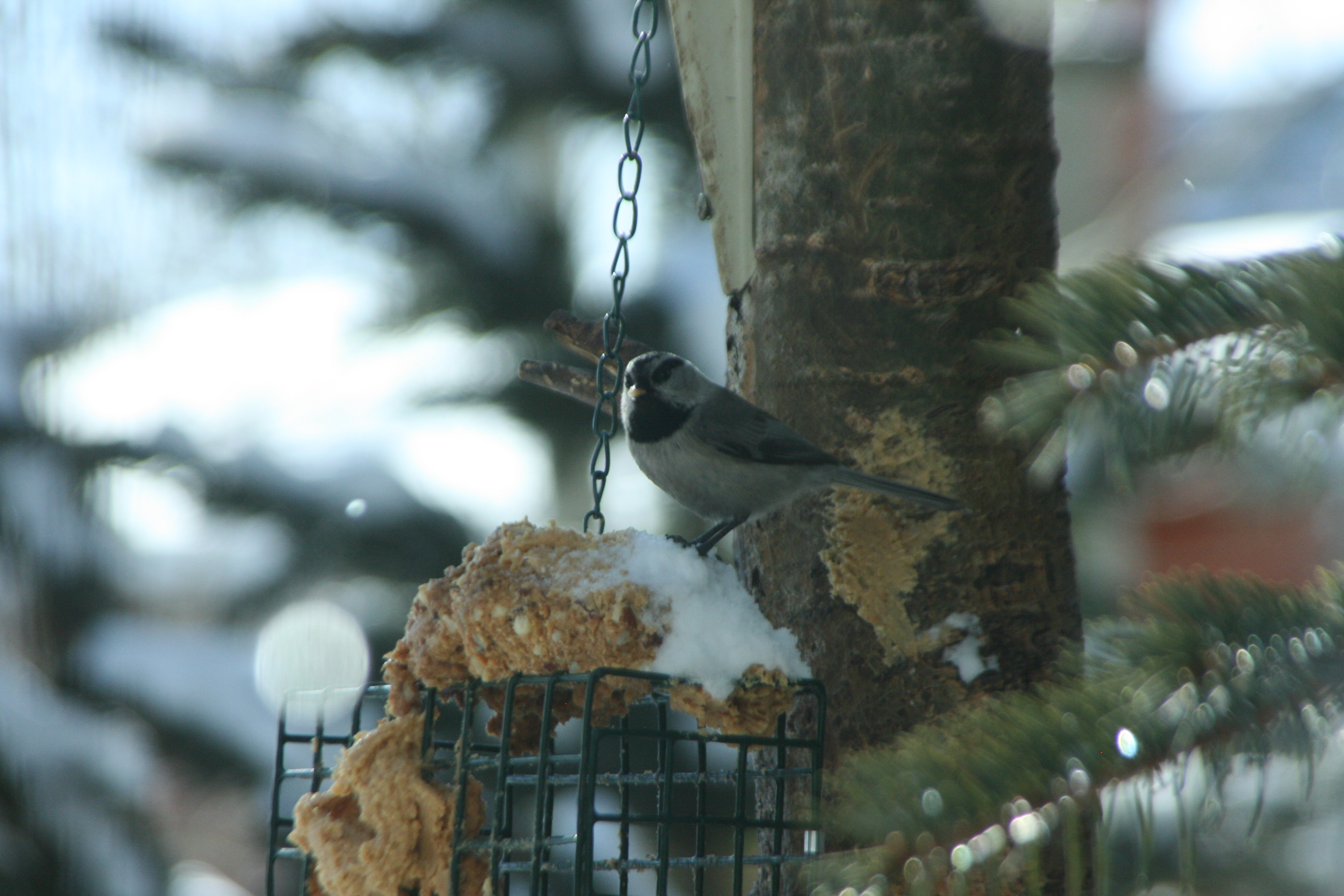 Additional Image 5