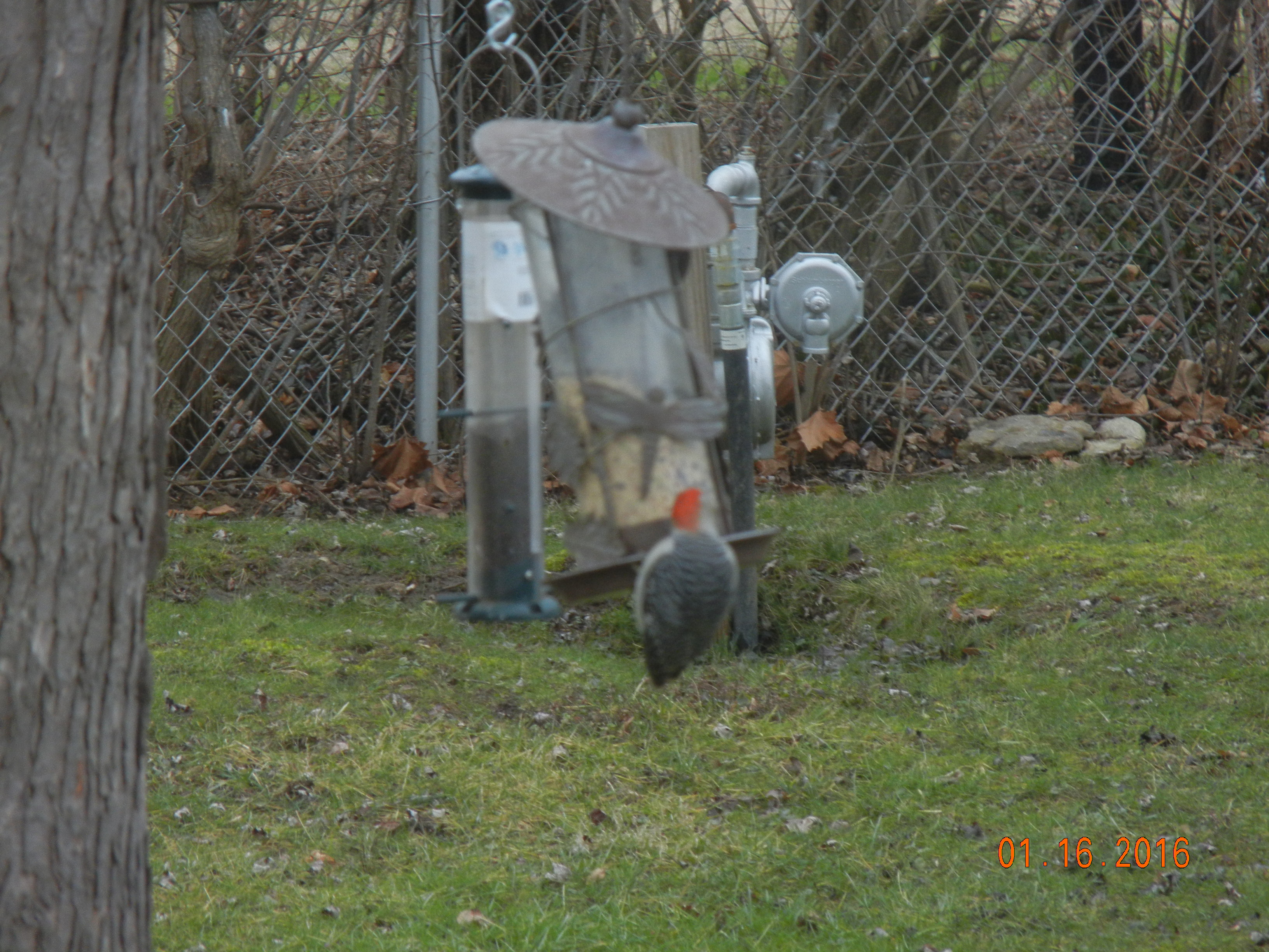 Additional Image 3