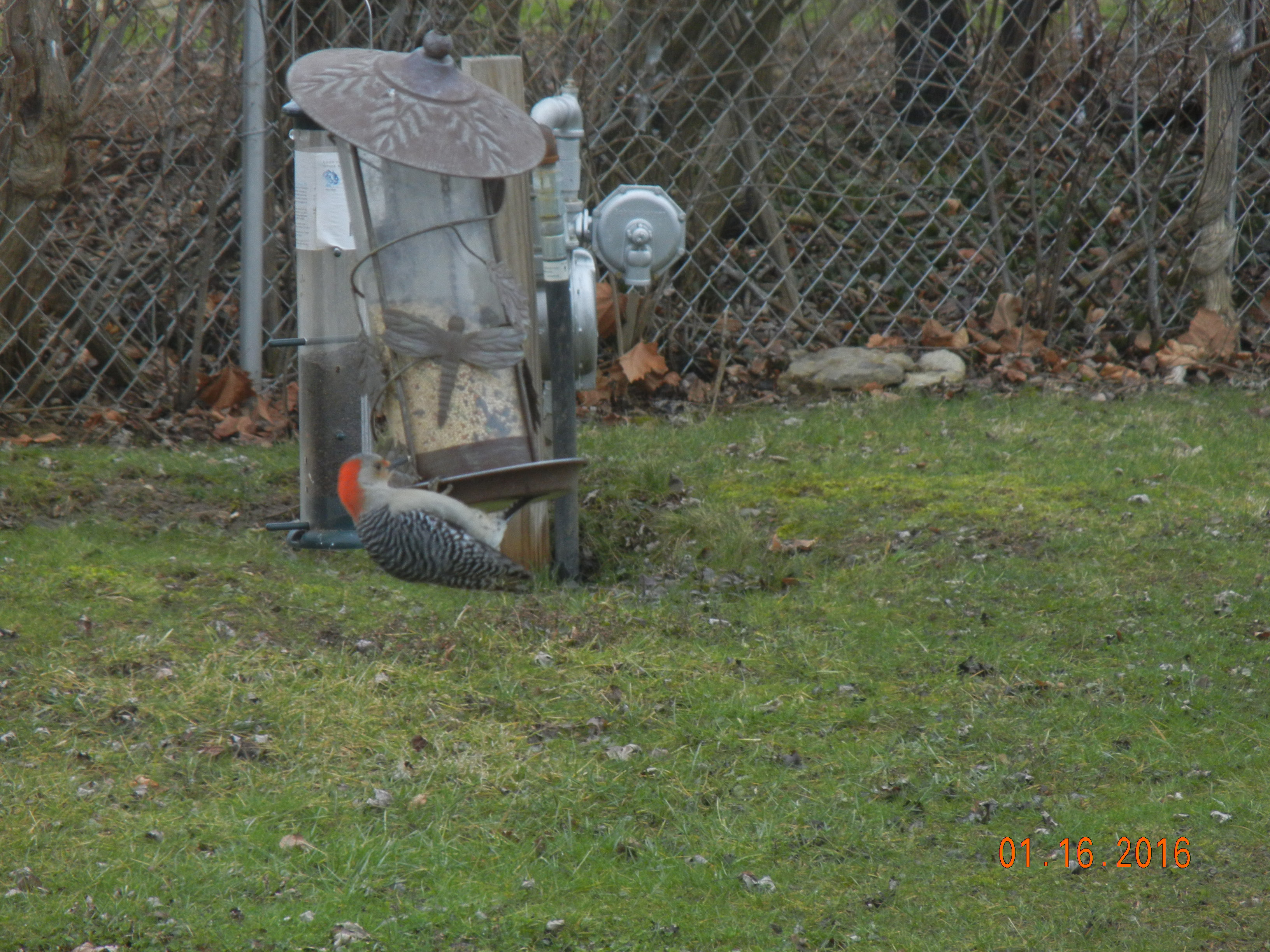 Additional Image 2