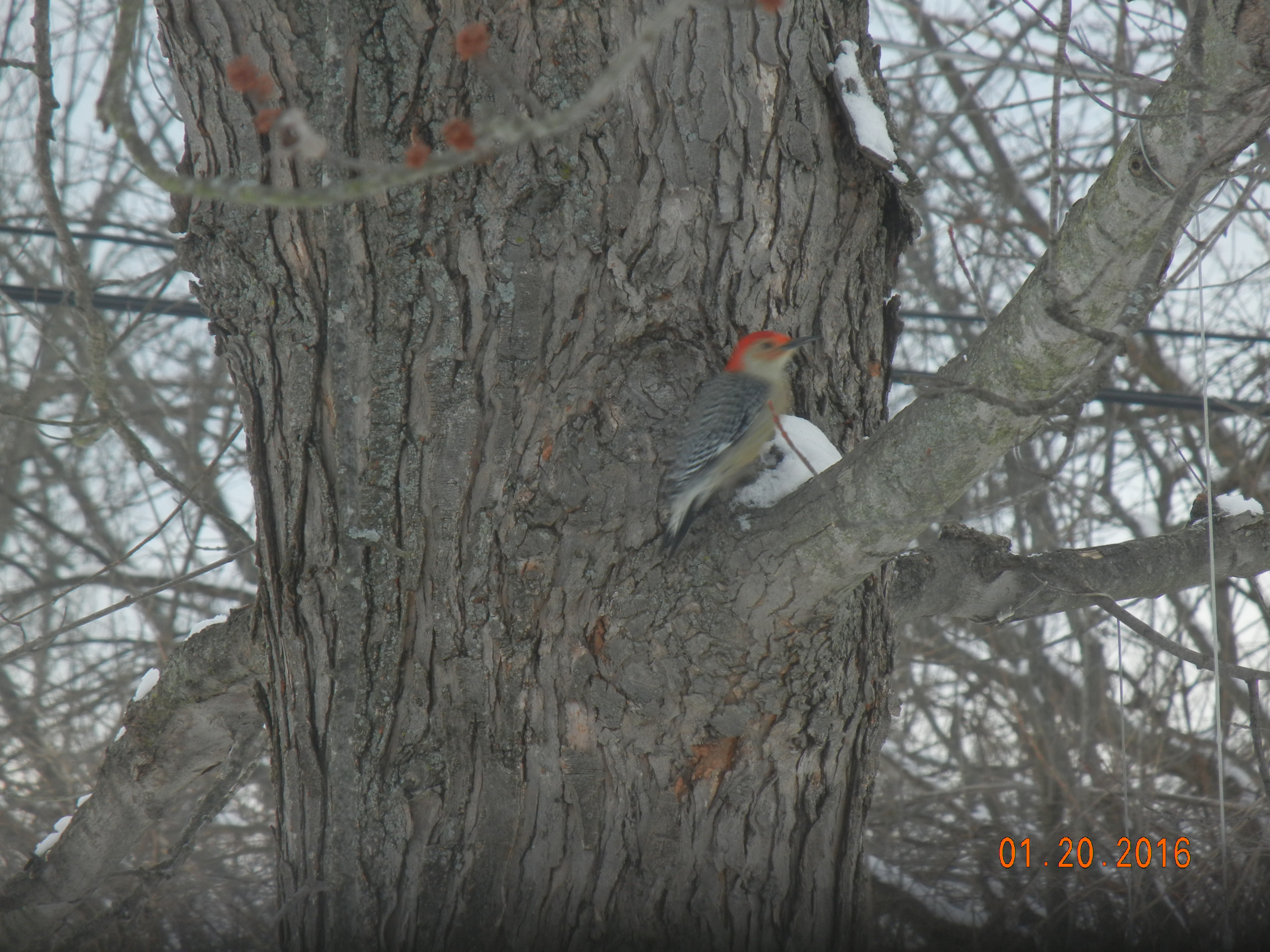 Additional Image 4