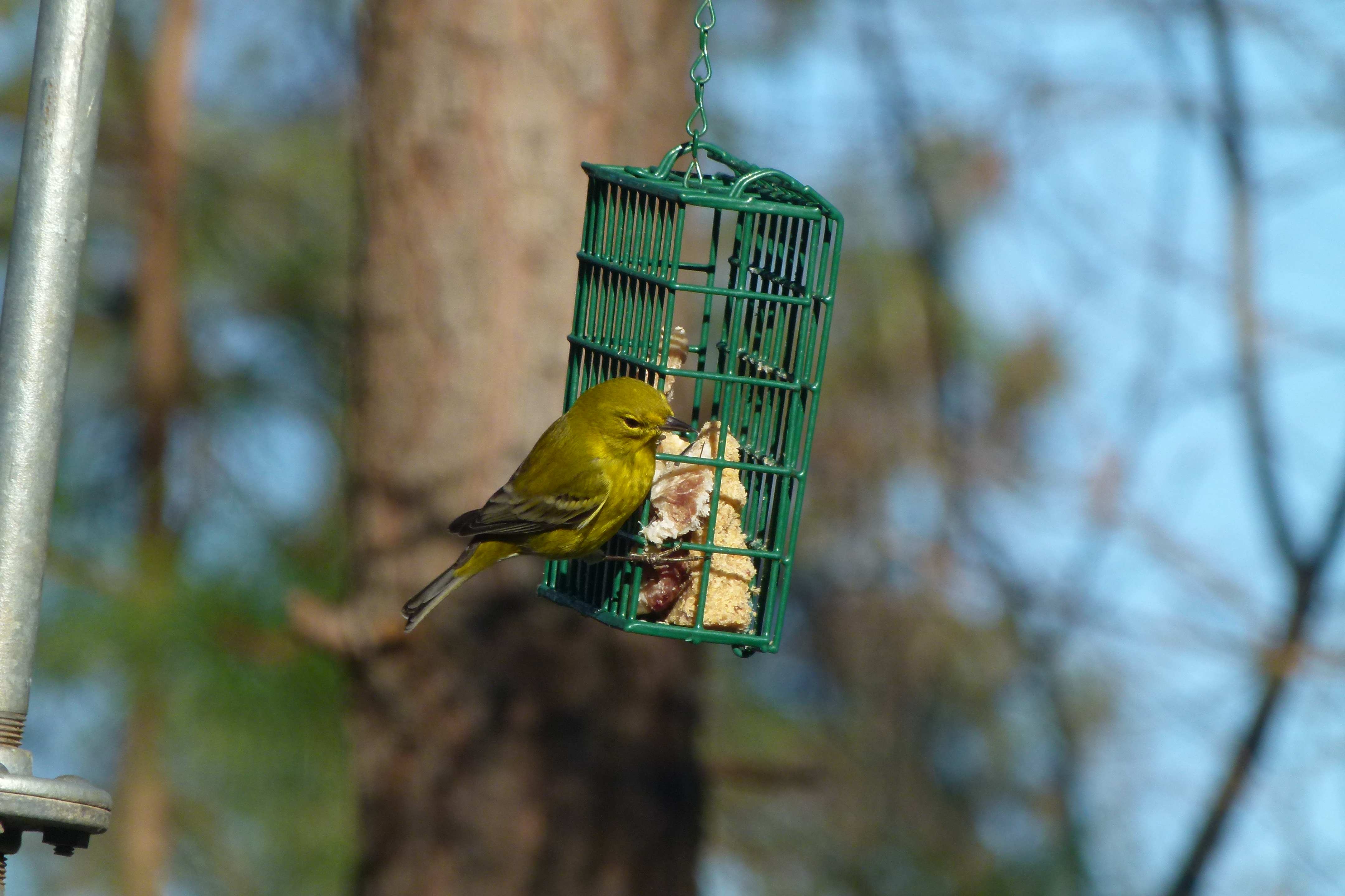 Additional Image 2
