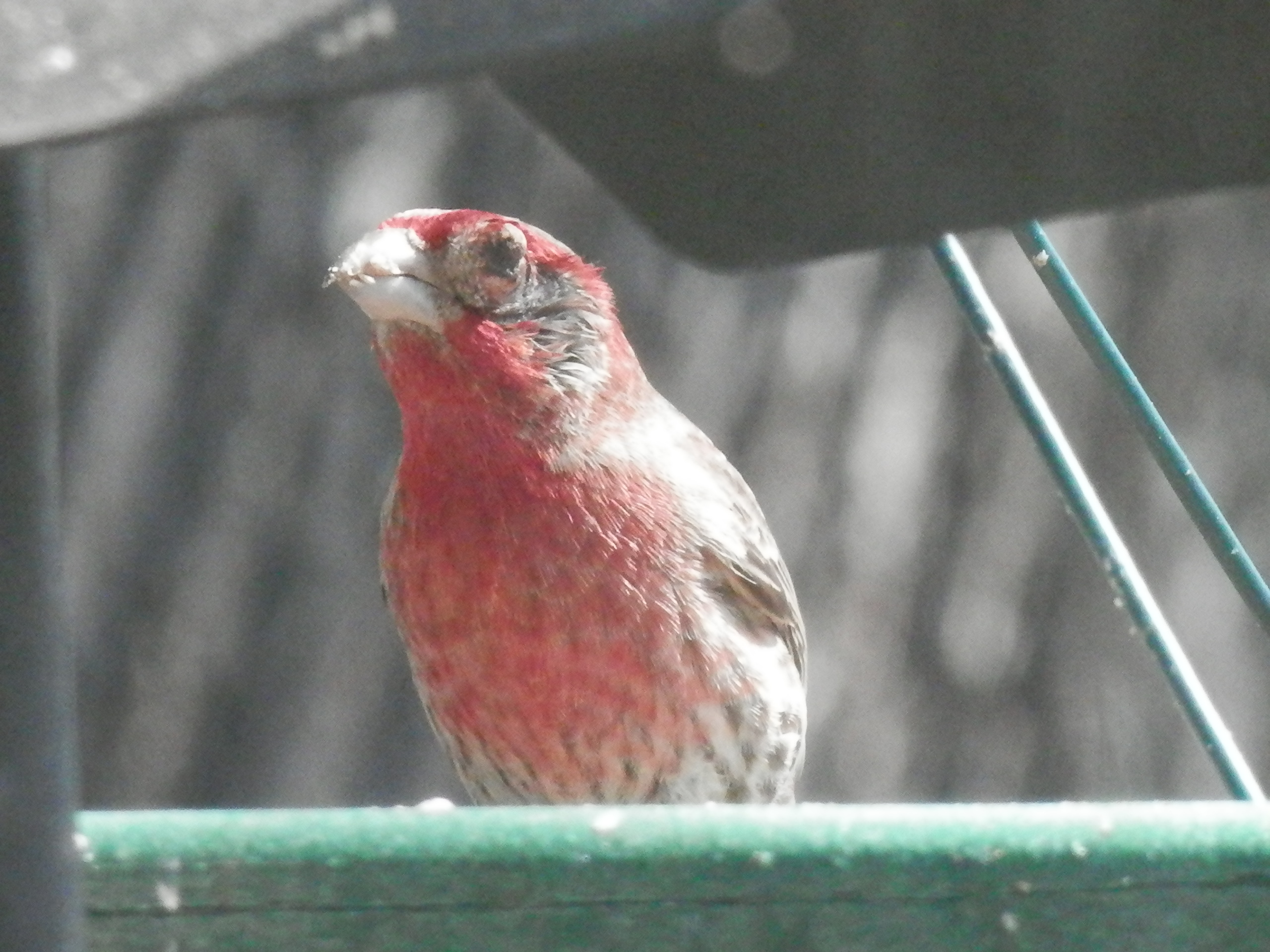 Additional Image 2