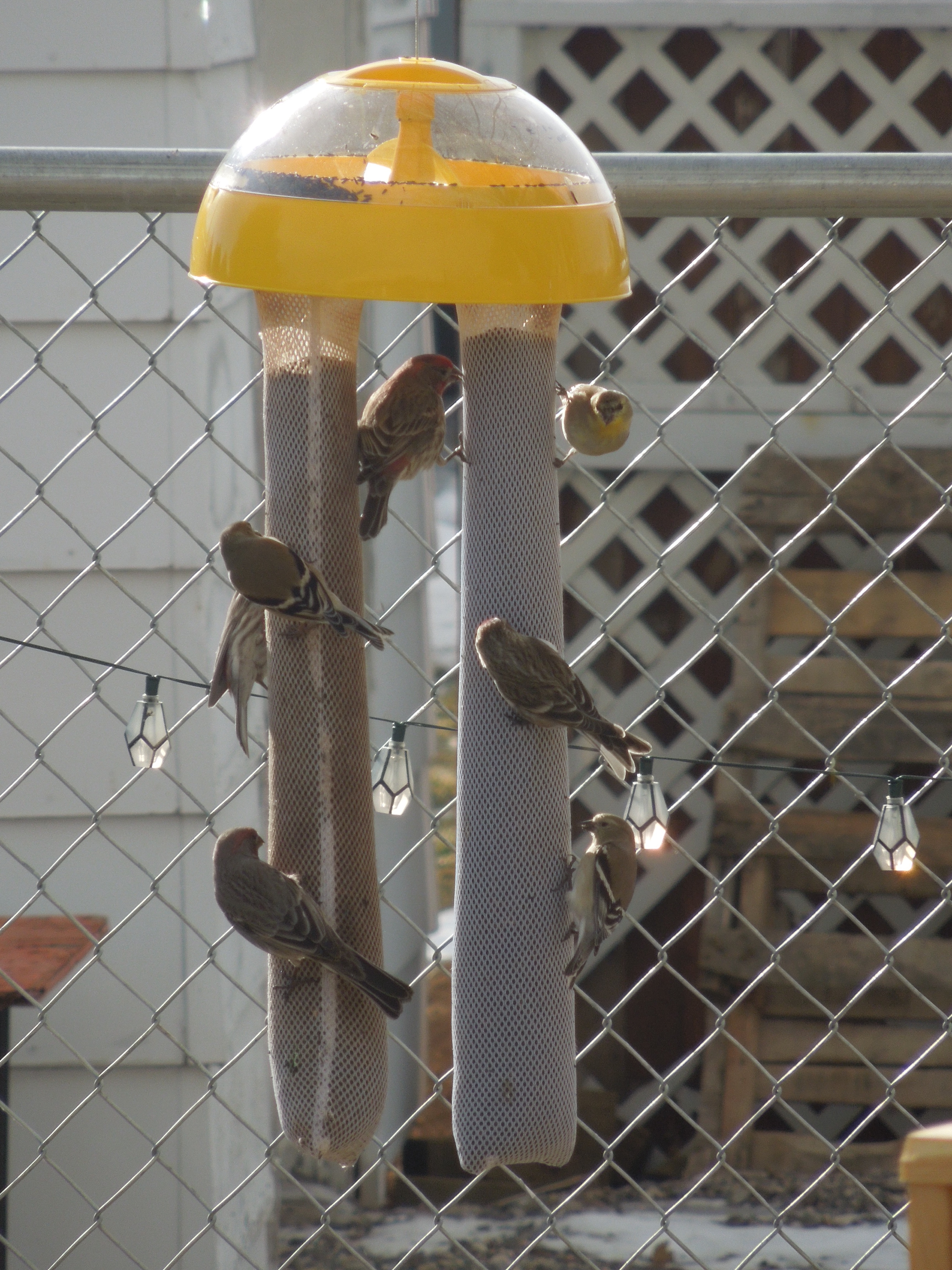 Additional Image 3