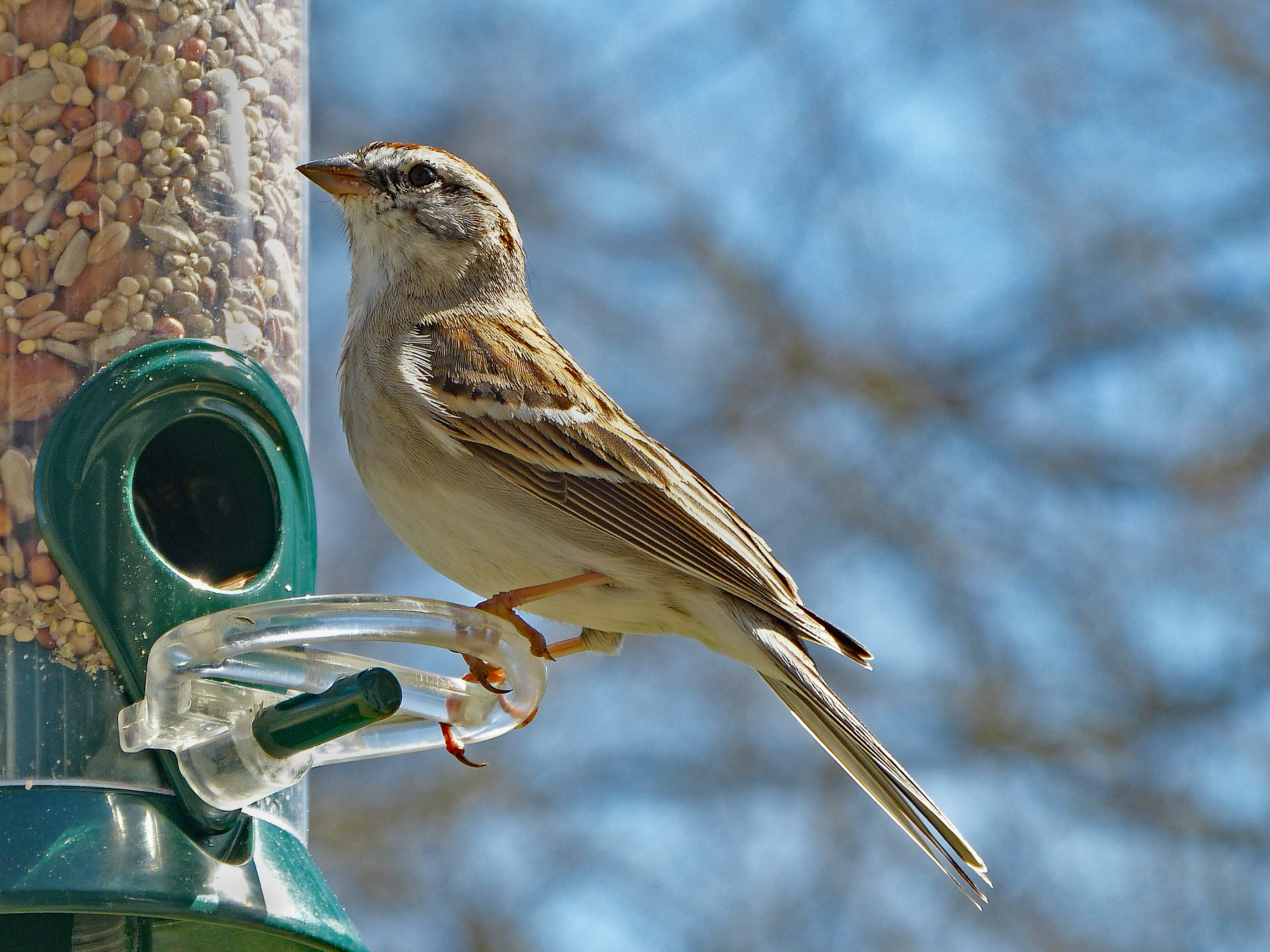 Featured Image