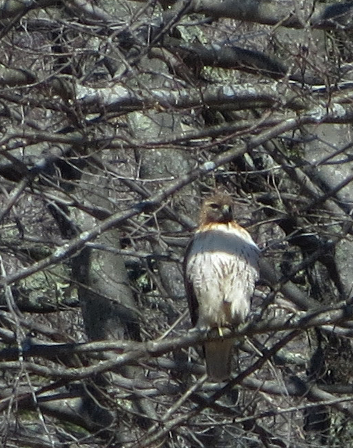 Additional Image 3