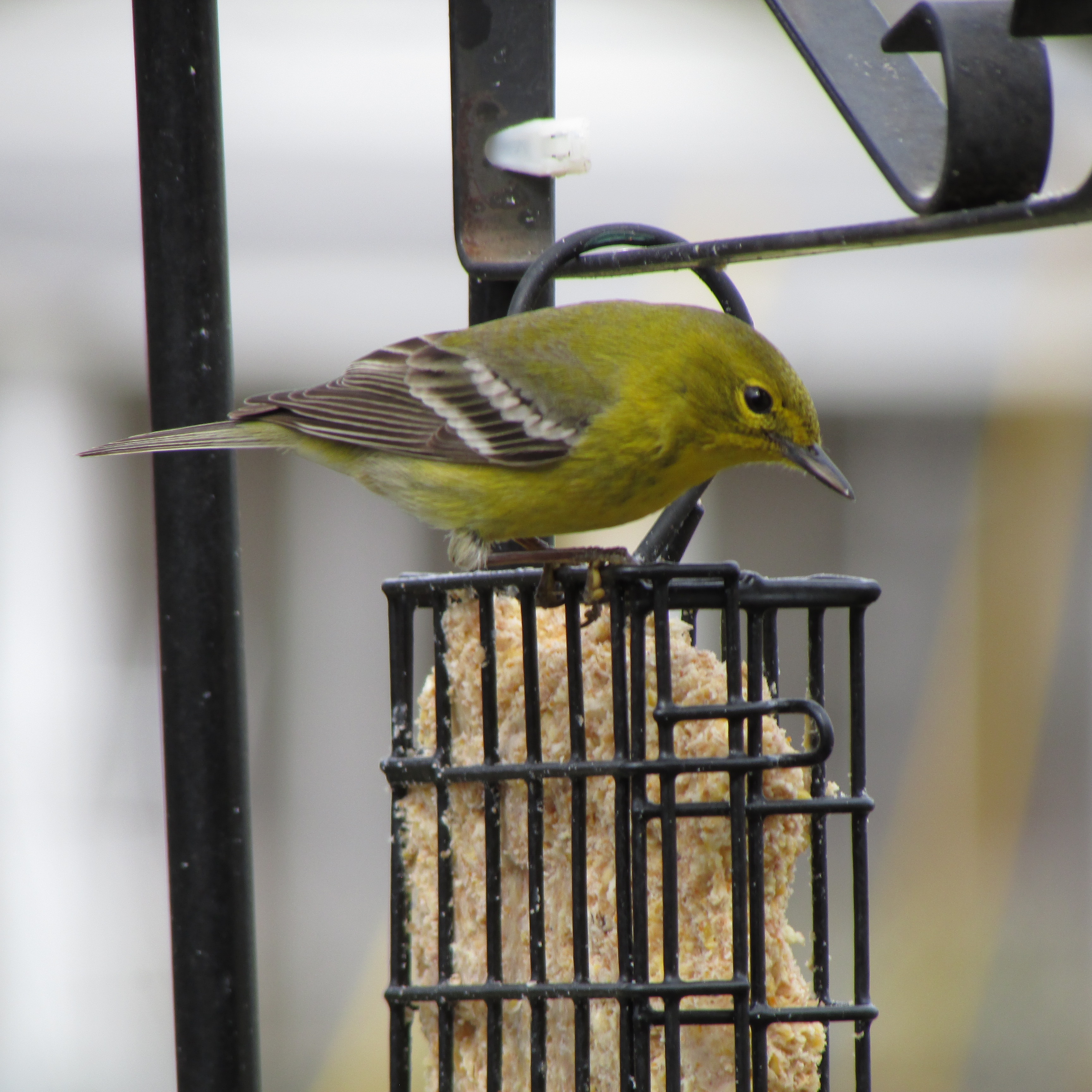 Additional Image 5
