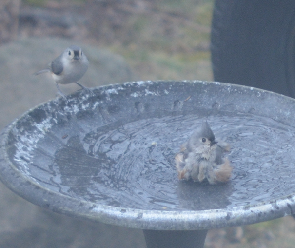 Additional Image 2