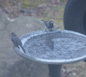 Additional Image 4