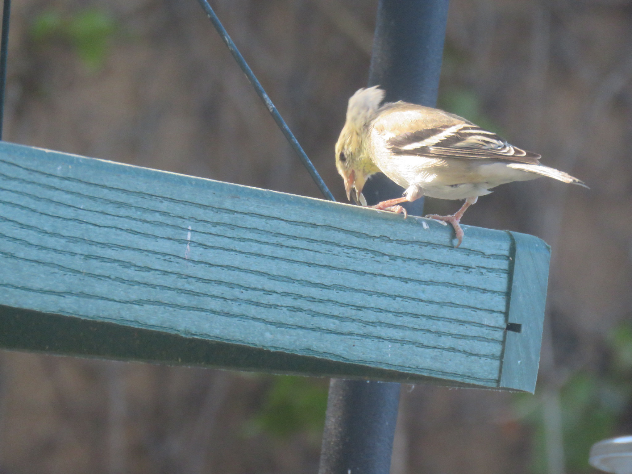 Additional Image 2