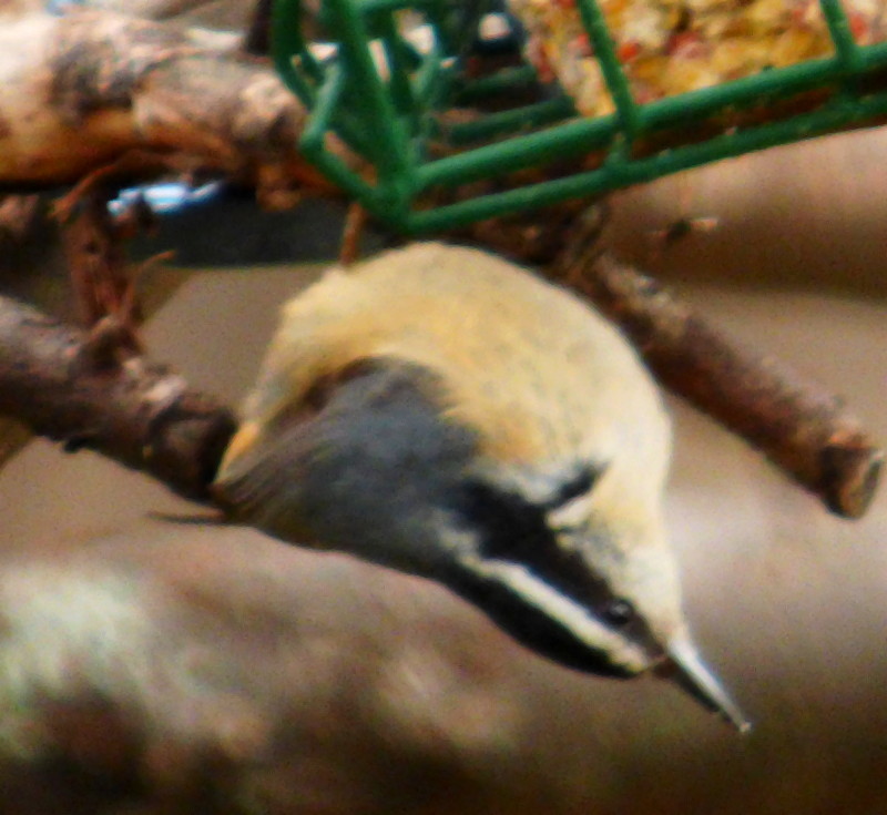 Additional Image 2