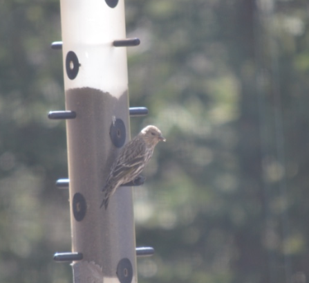 Additional Image 3