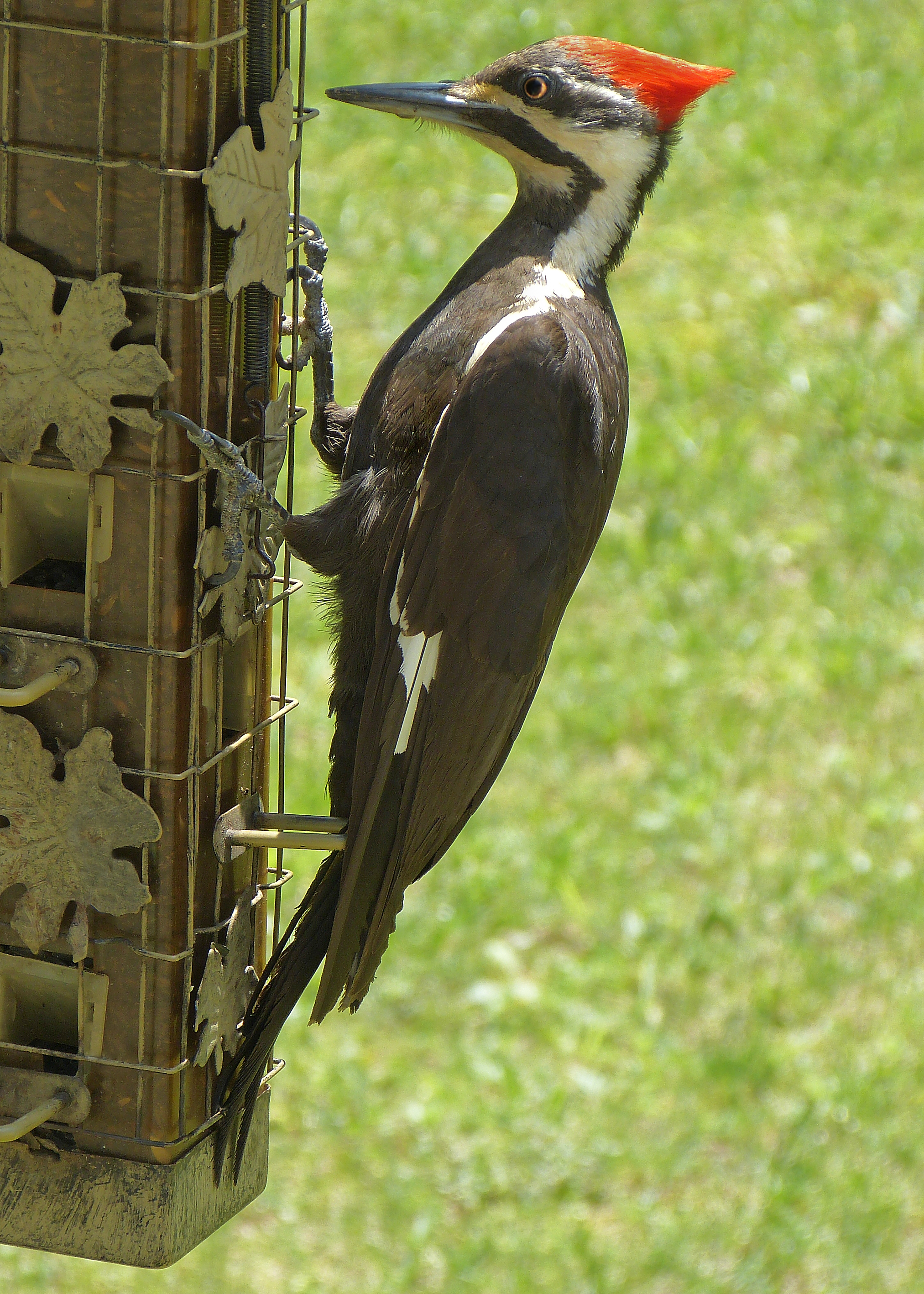 Additional Image 2