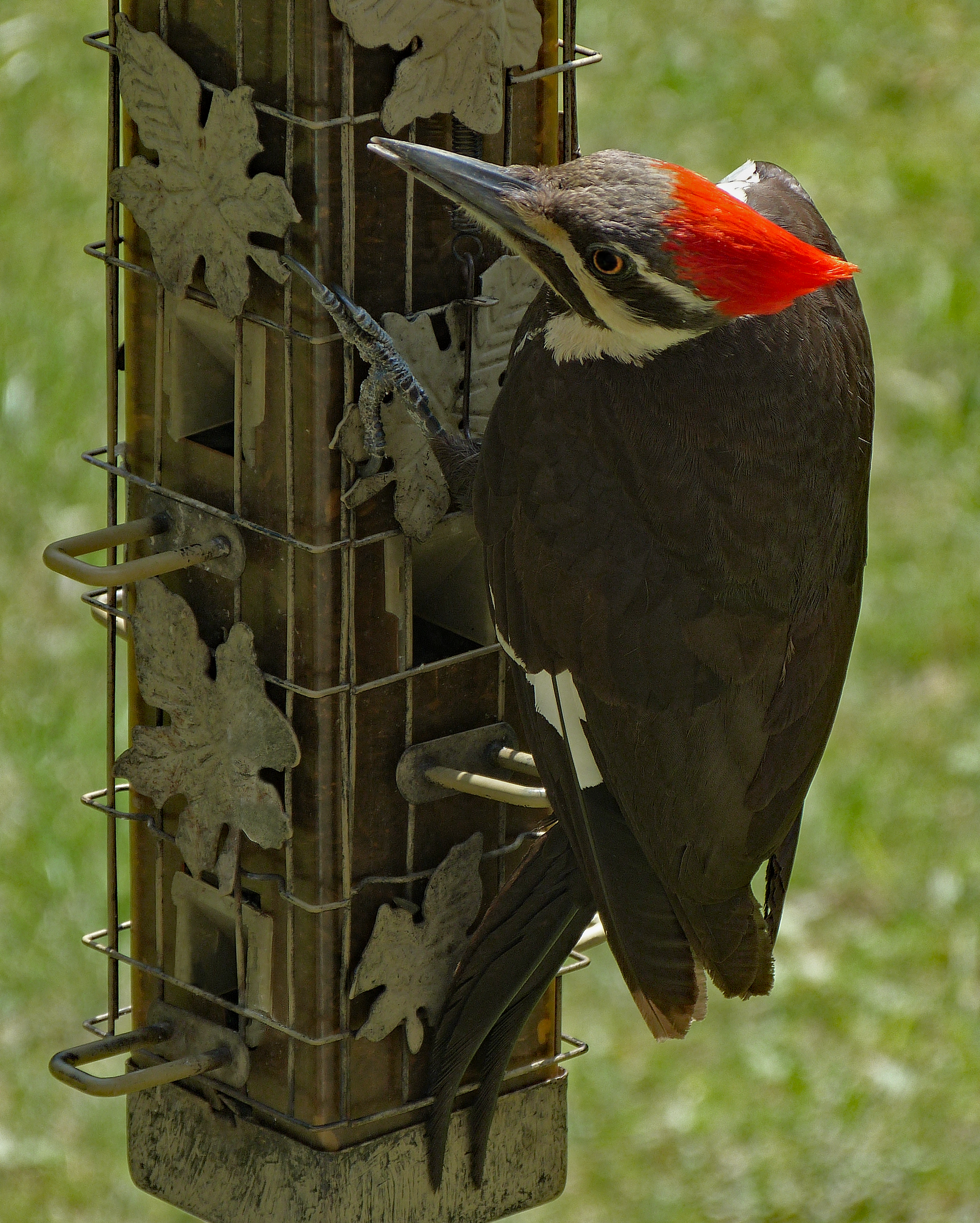 Featured Image