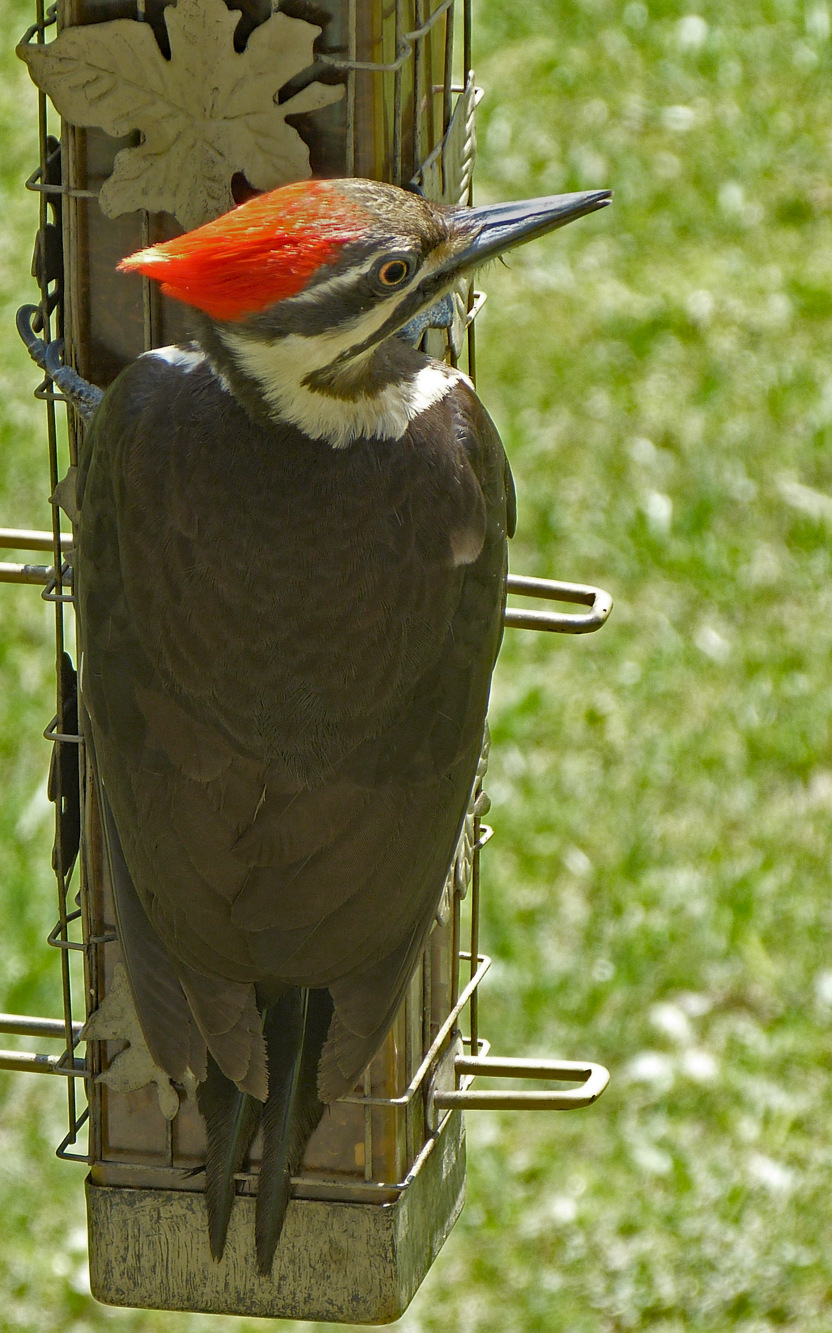 Additional Image 3