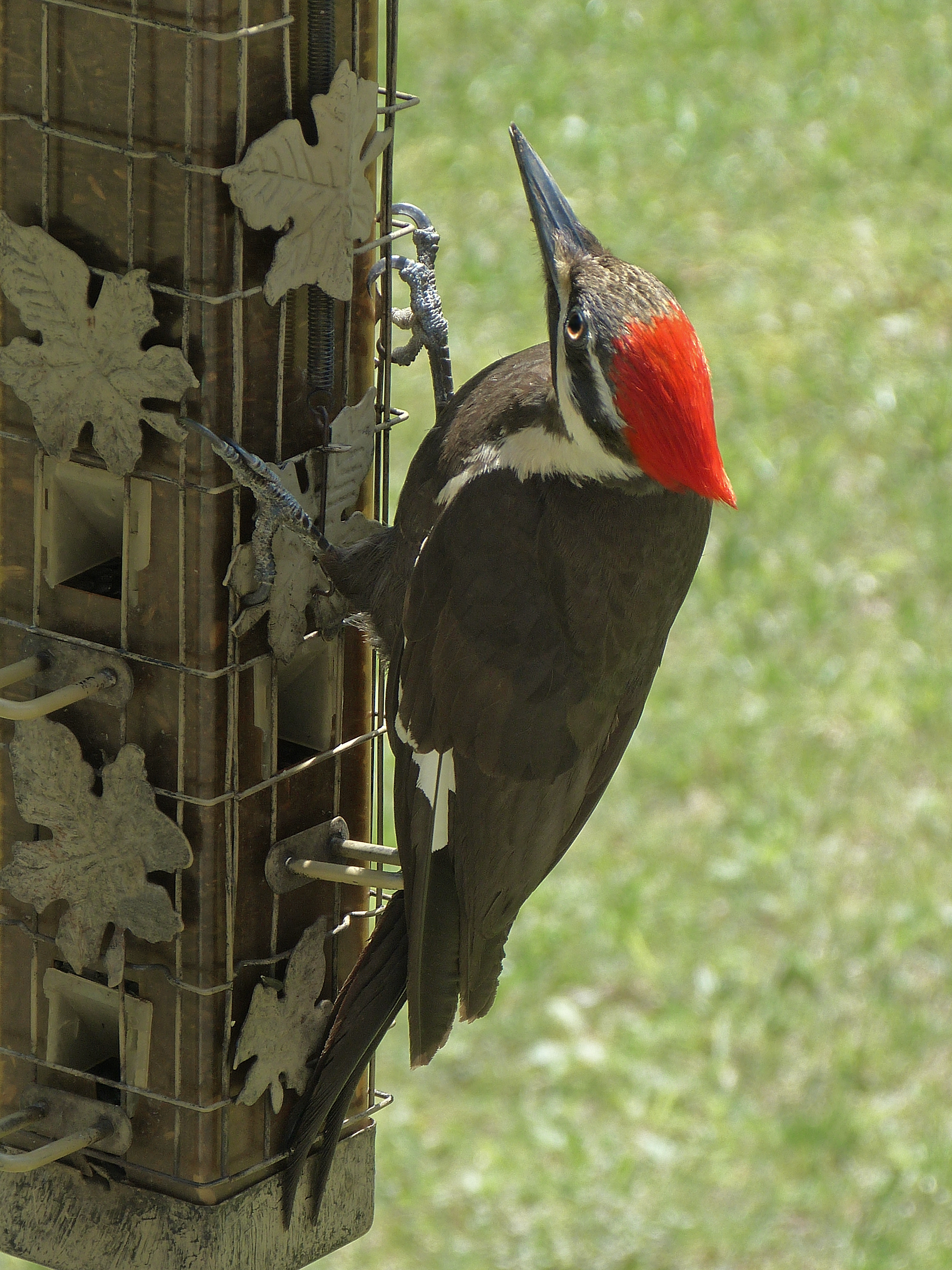 Additional Image 4